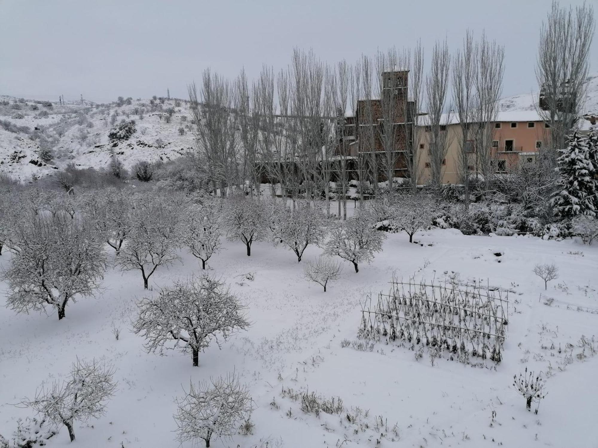 Apartamentos Rurales Camino del Cid view 3