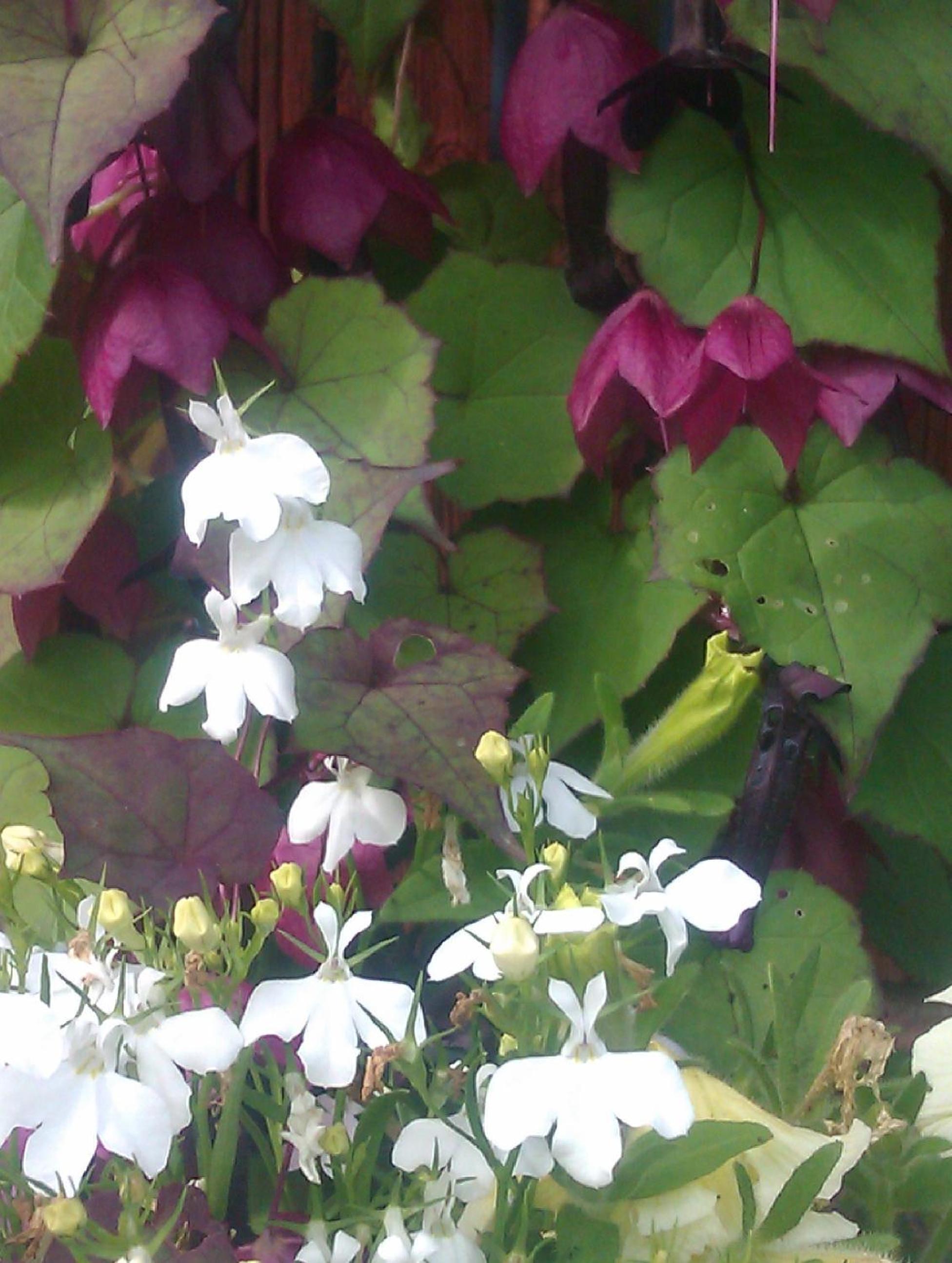 Photo 32