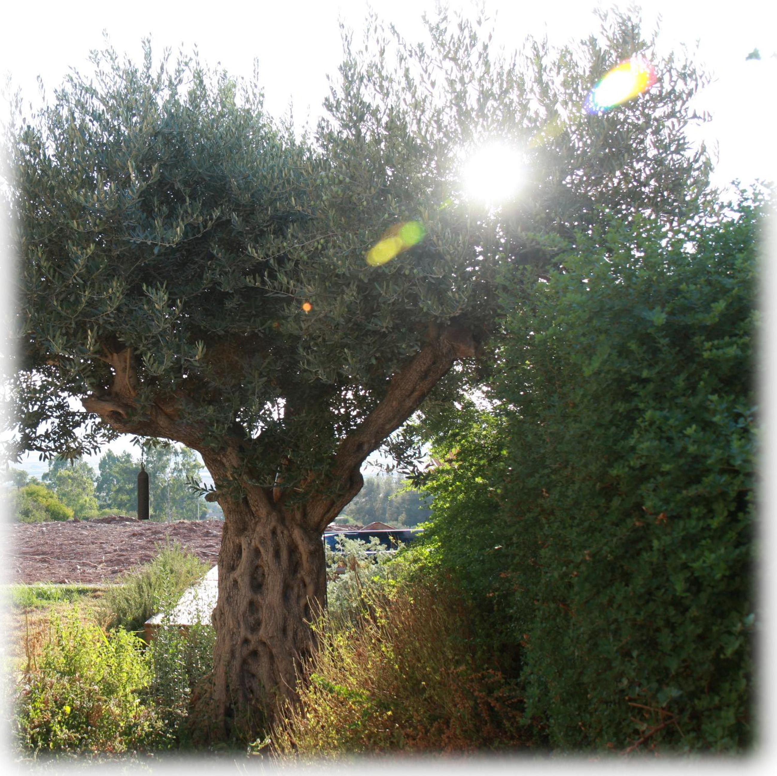 Photo 49