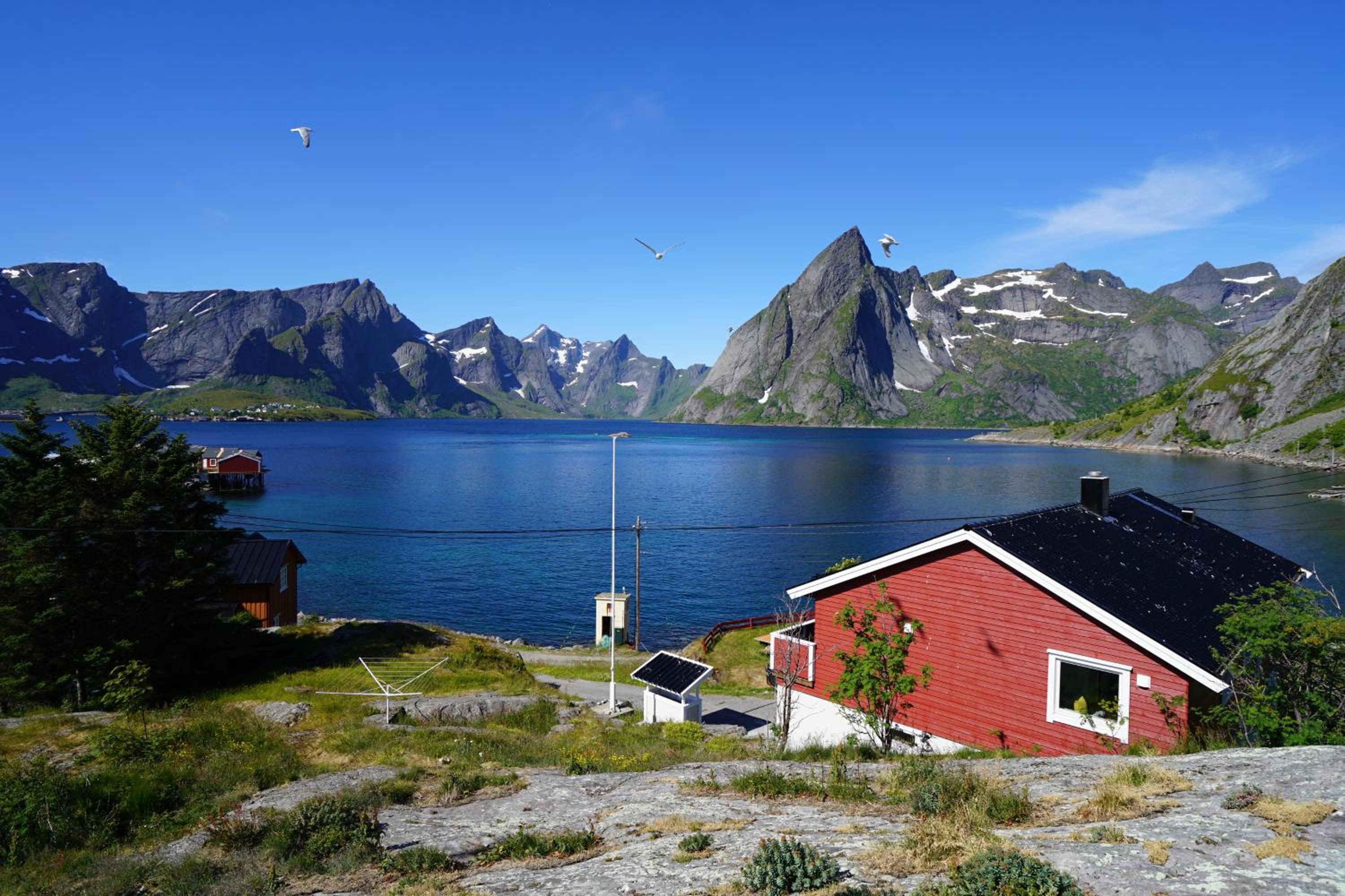 Lofoten panoramic luxury home with sauna view 4