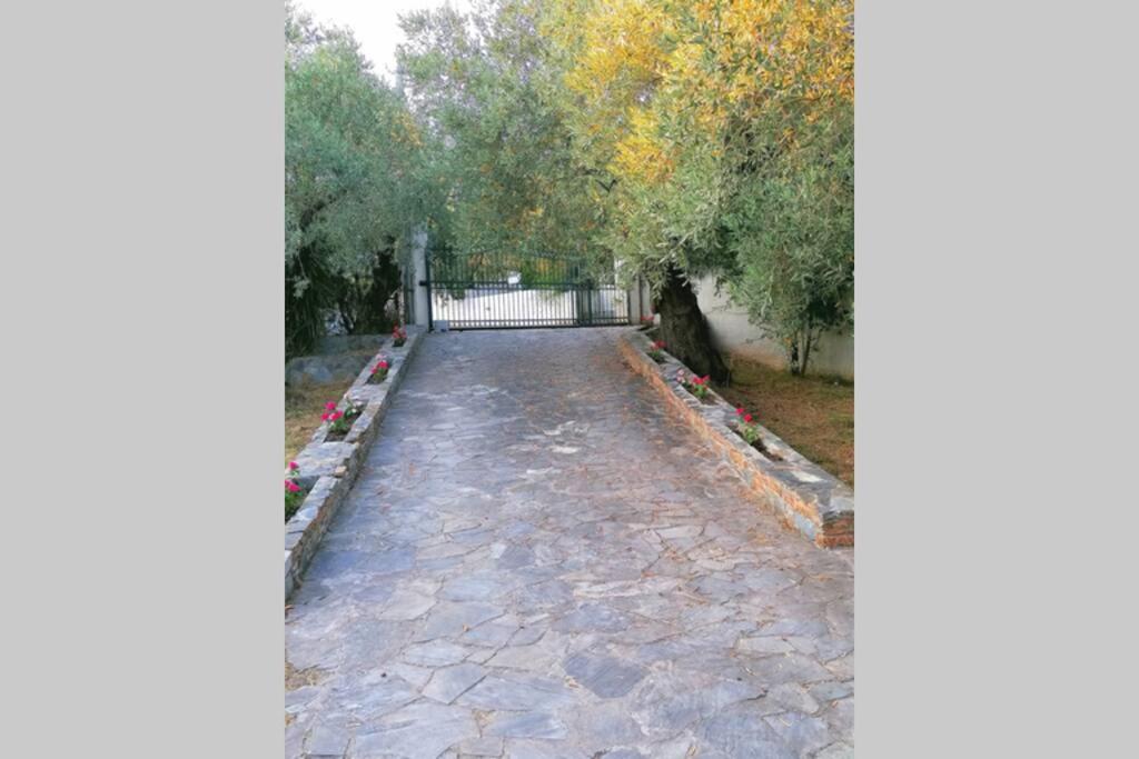 Photo 24
