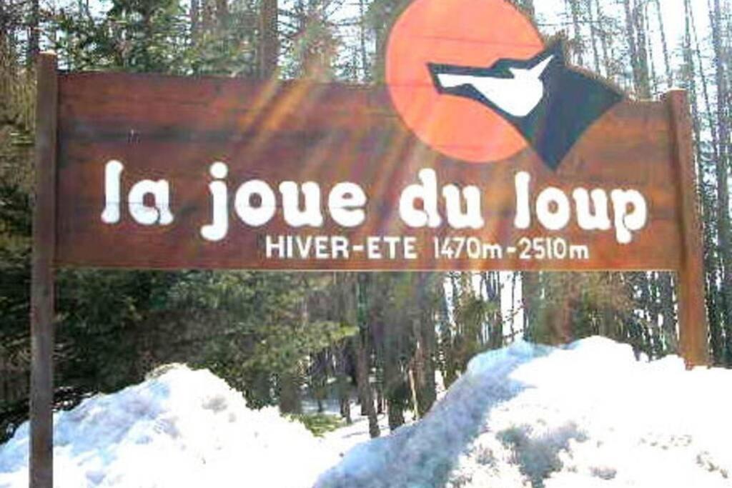 RDC La joue du loup
