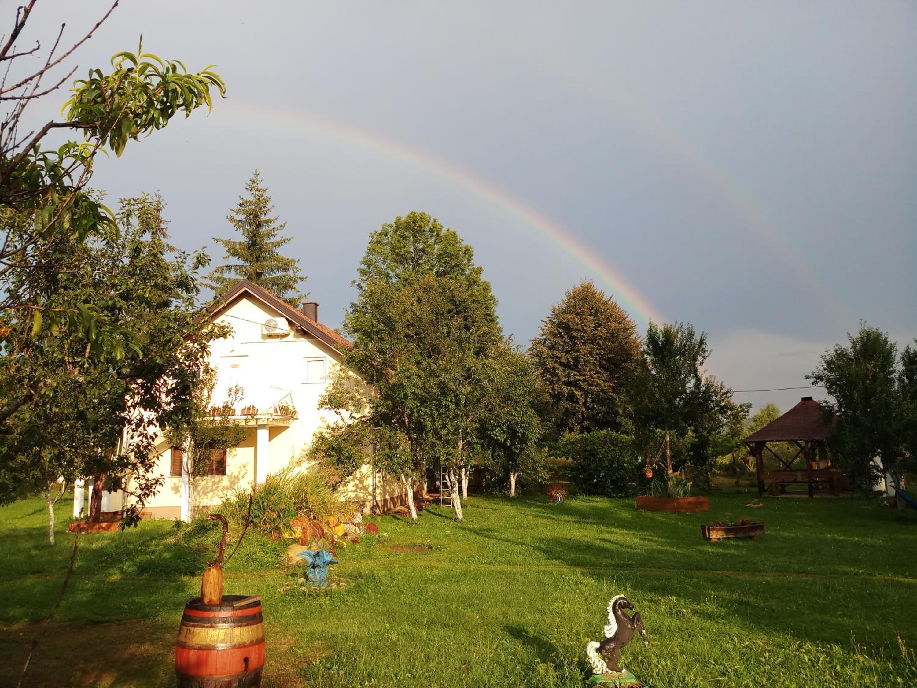 Photo 21