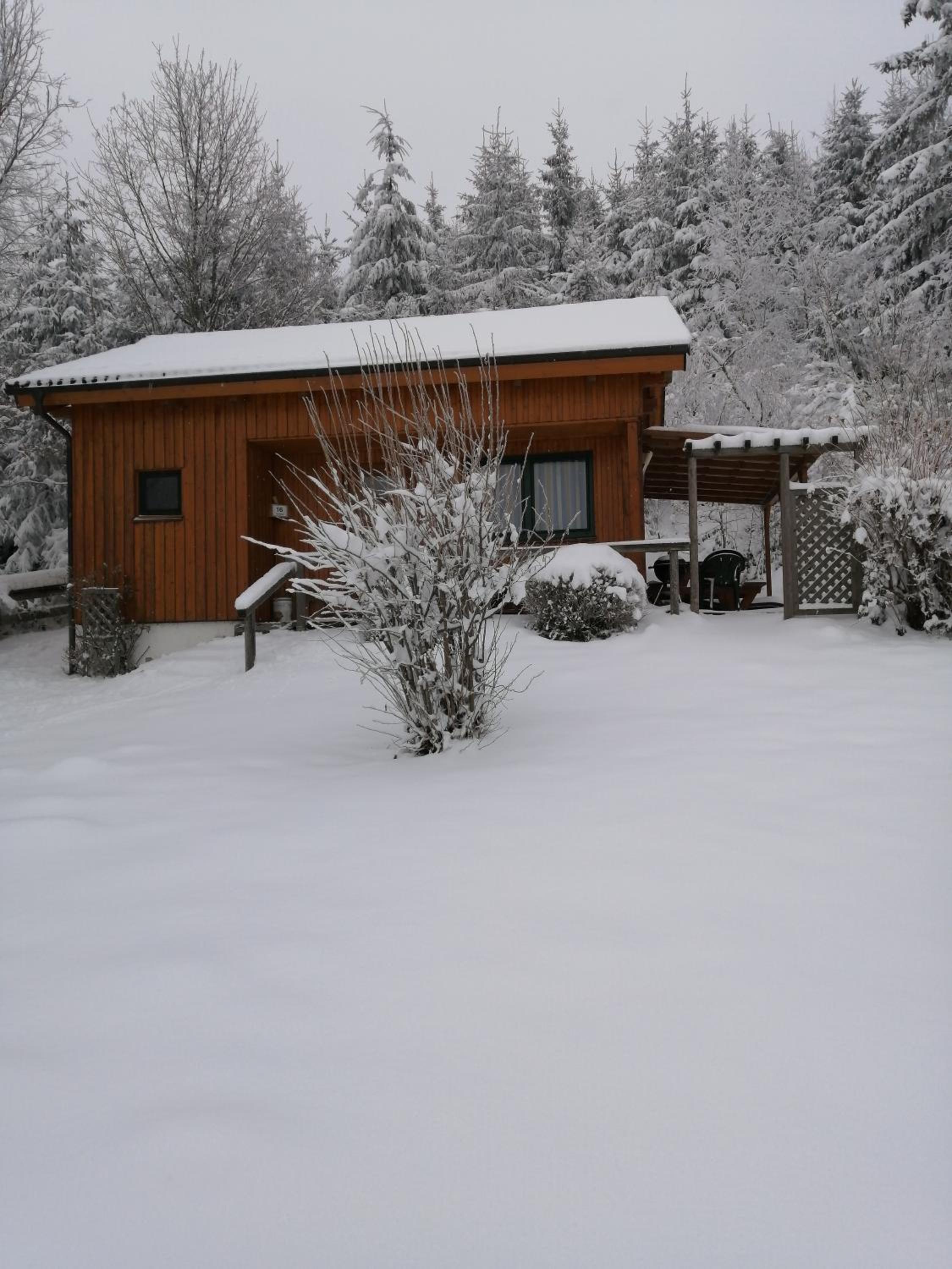Photo 16