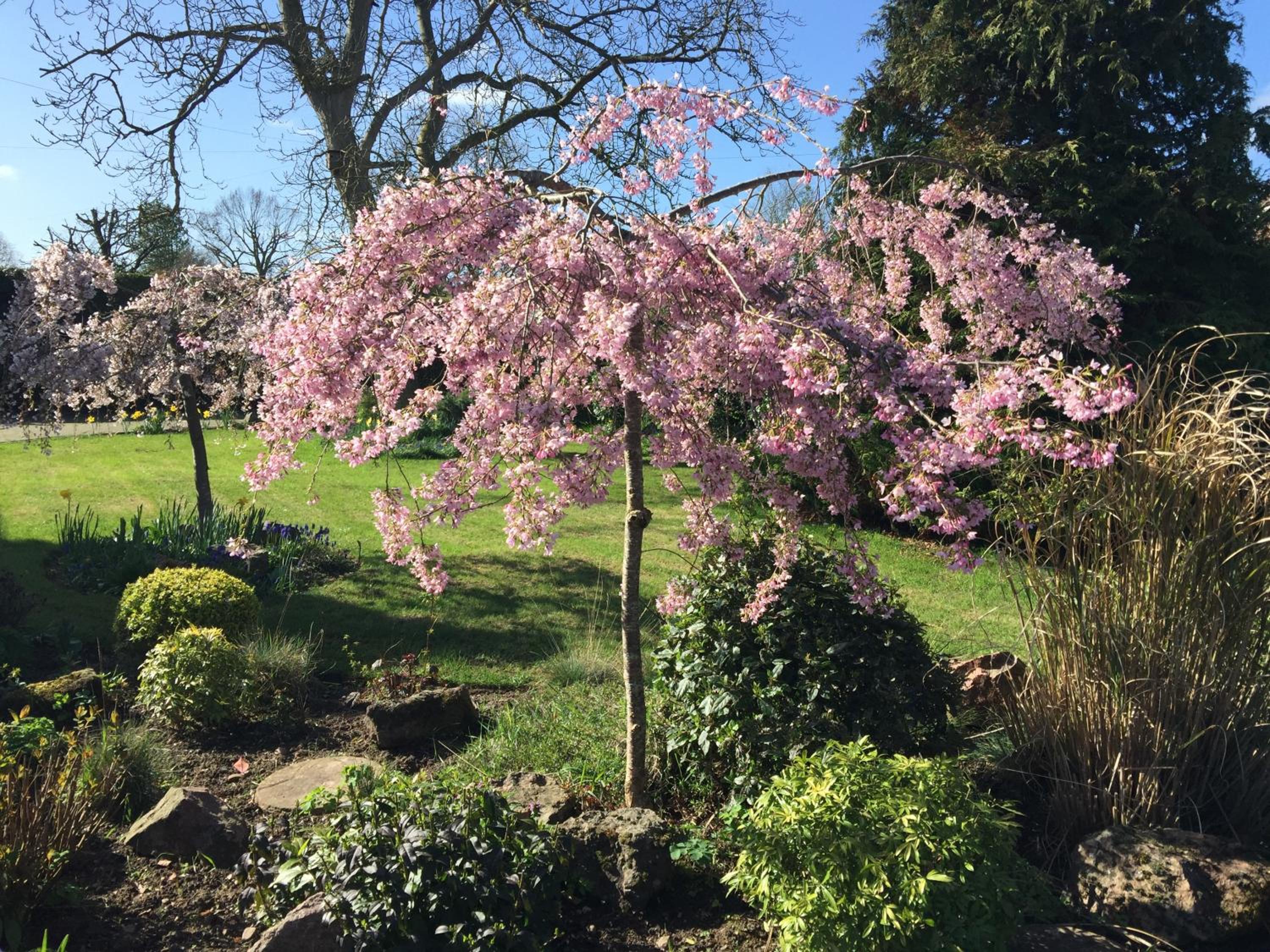 Orchard Side Bed and Breakfast