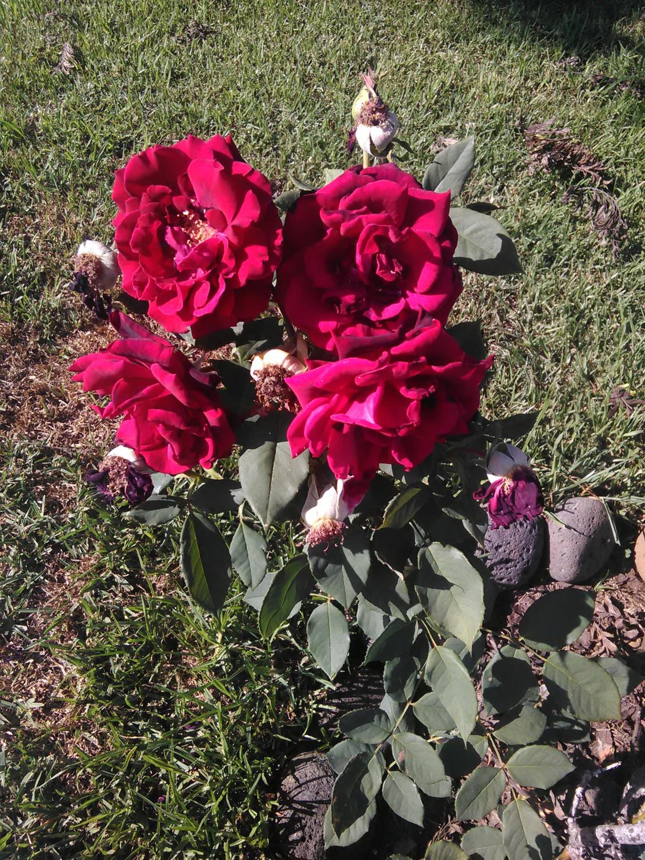 Photo 29