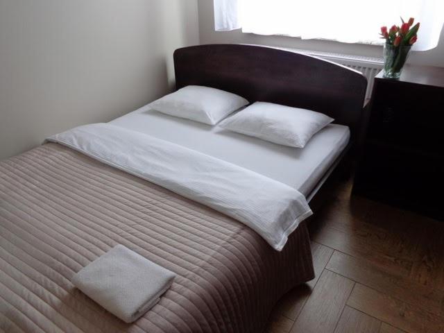Irys 1 view 2