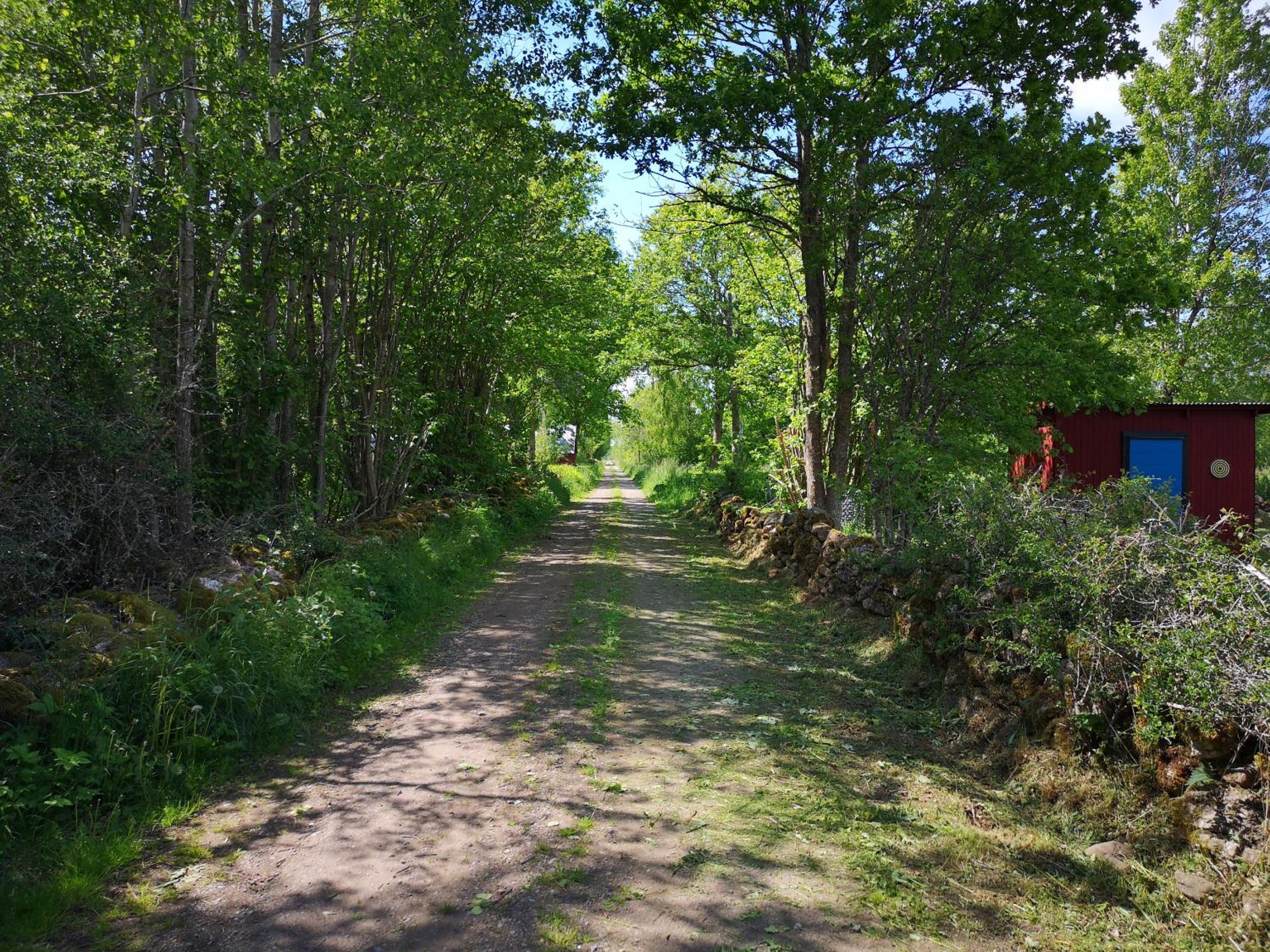 Fridfullt läge mitt på Öland view 5