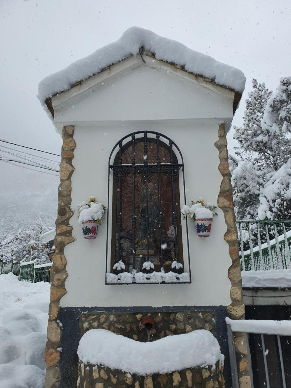 Photo 16