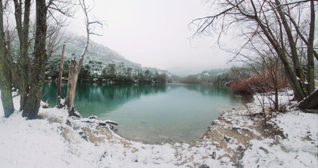 Photo 20