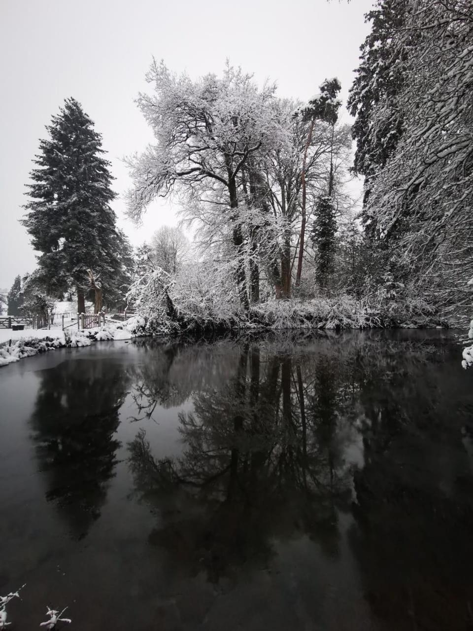 Castle Froidcour