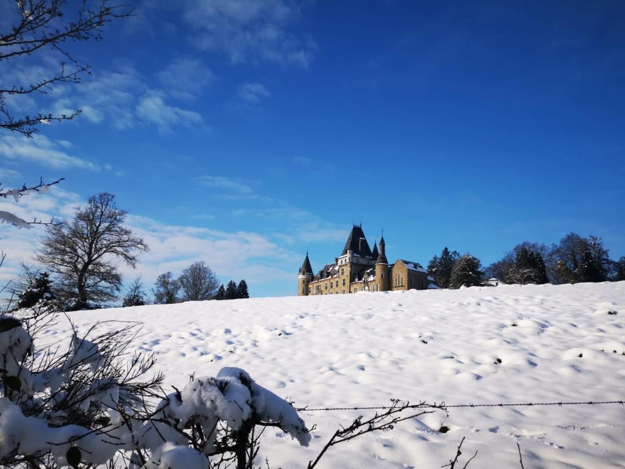 Castle Froidcour