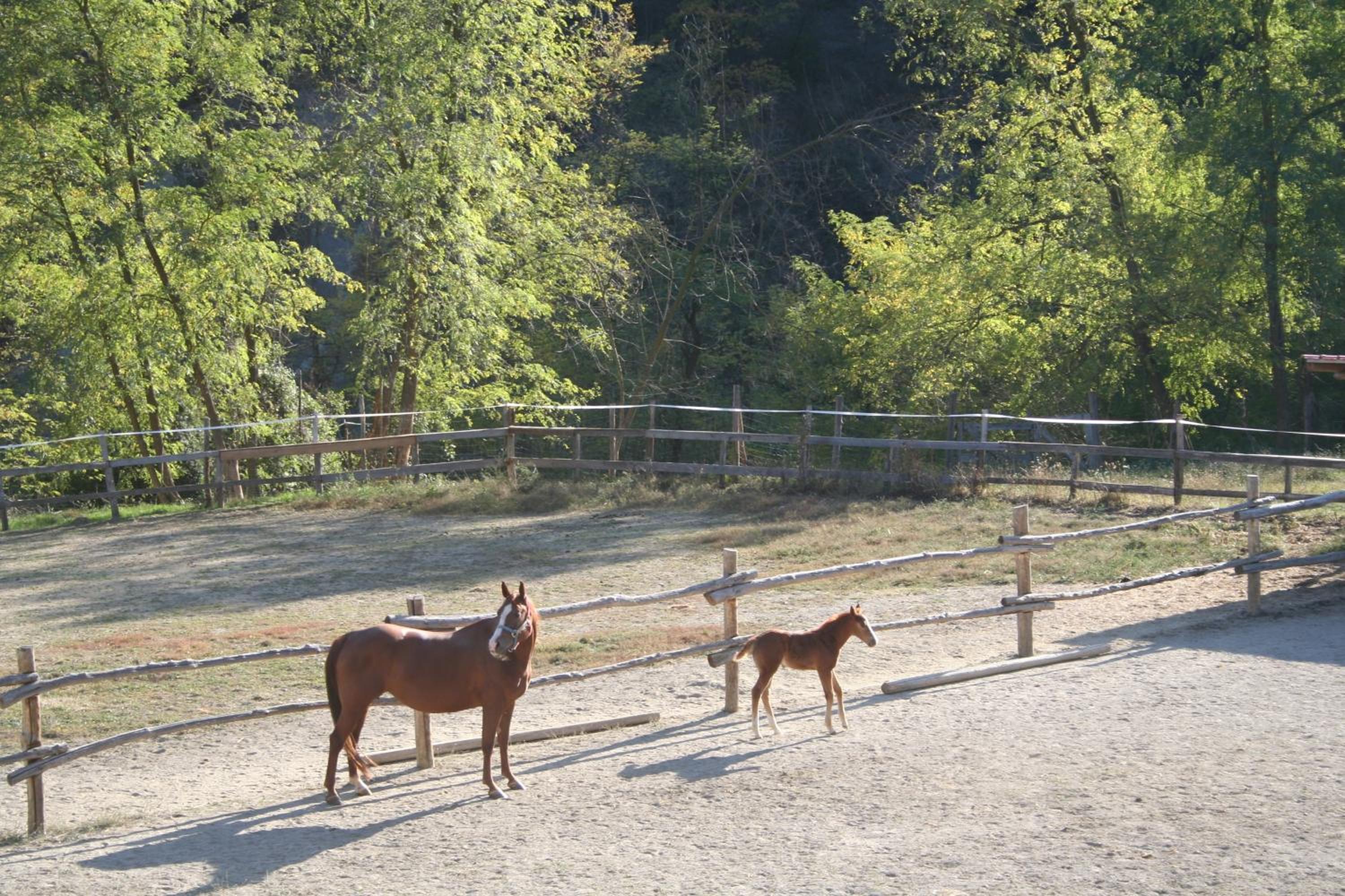 Agriturismo Cascina del Vai