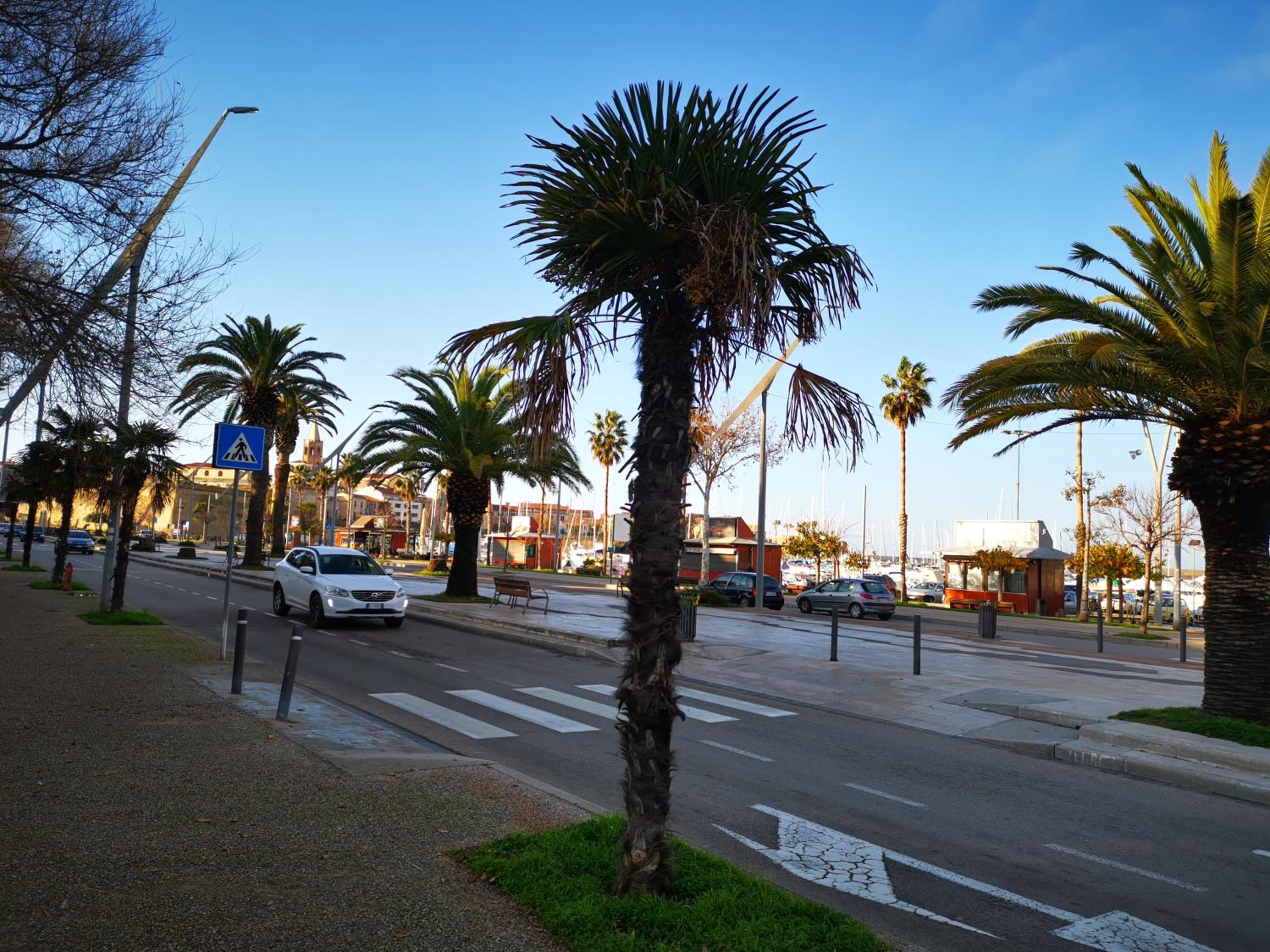 Photo 41