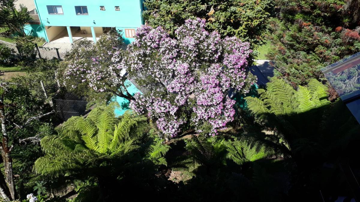 Casa Nobre Gramado