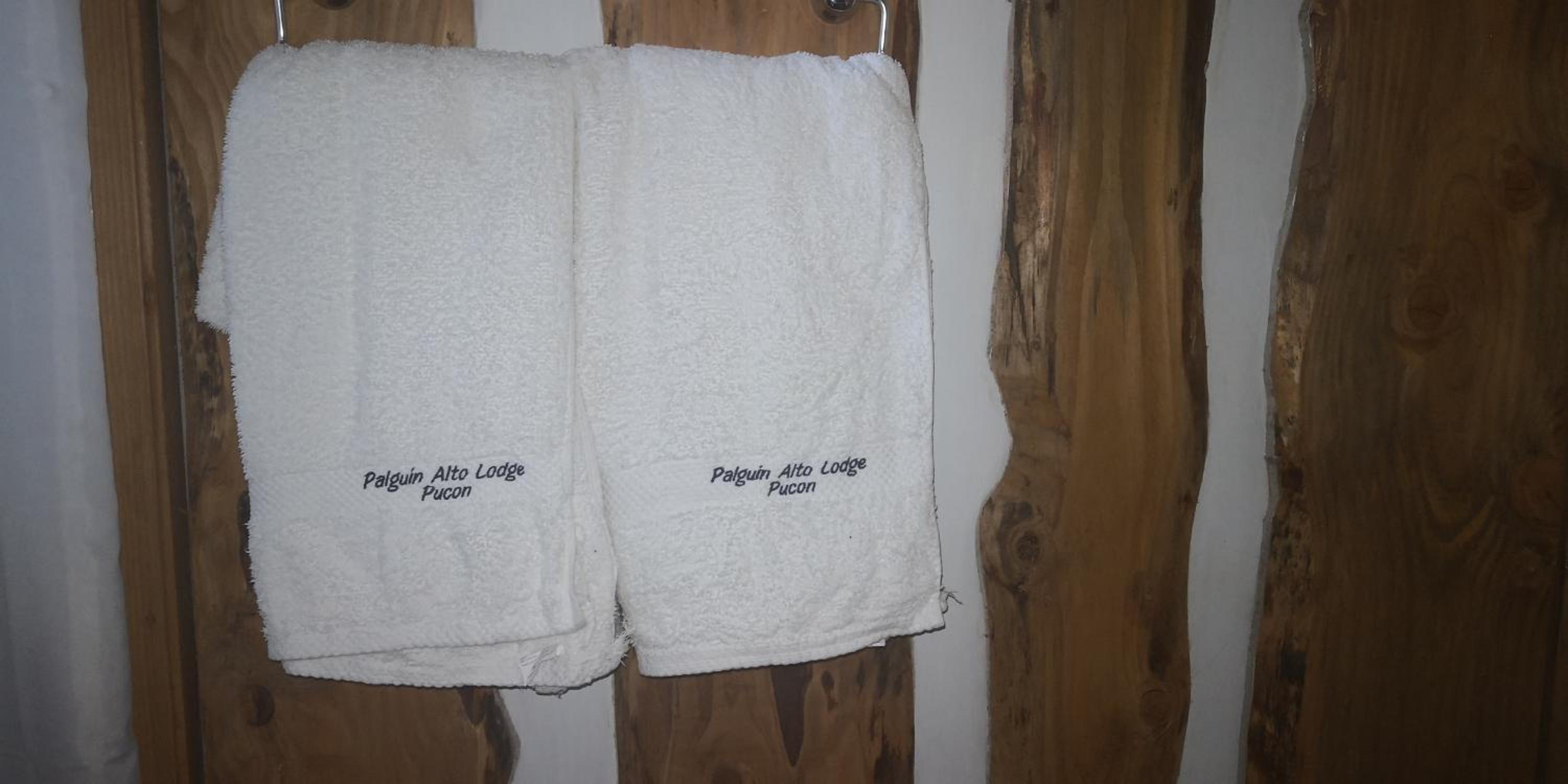 Lodge Palguin Alto