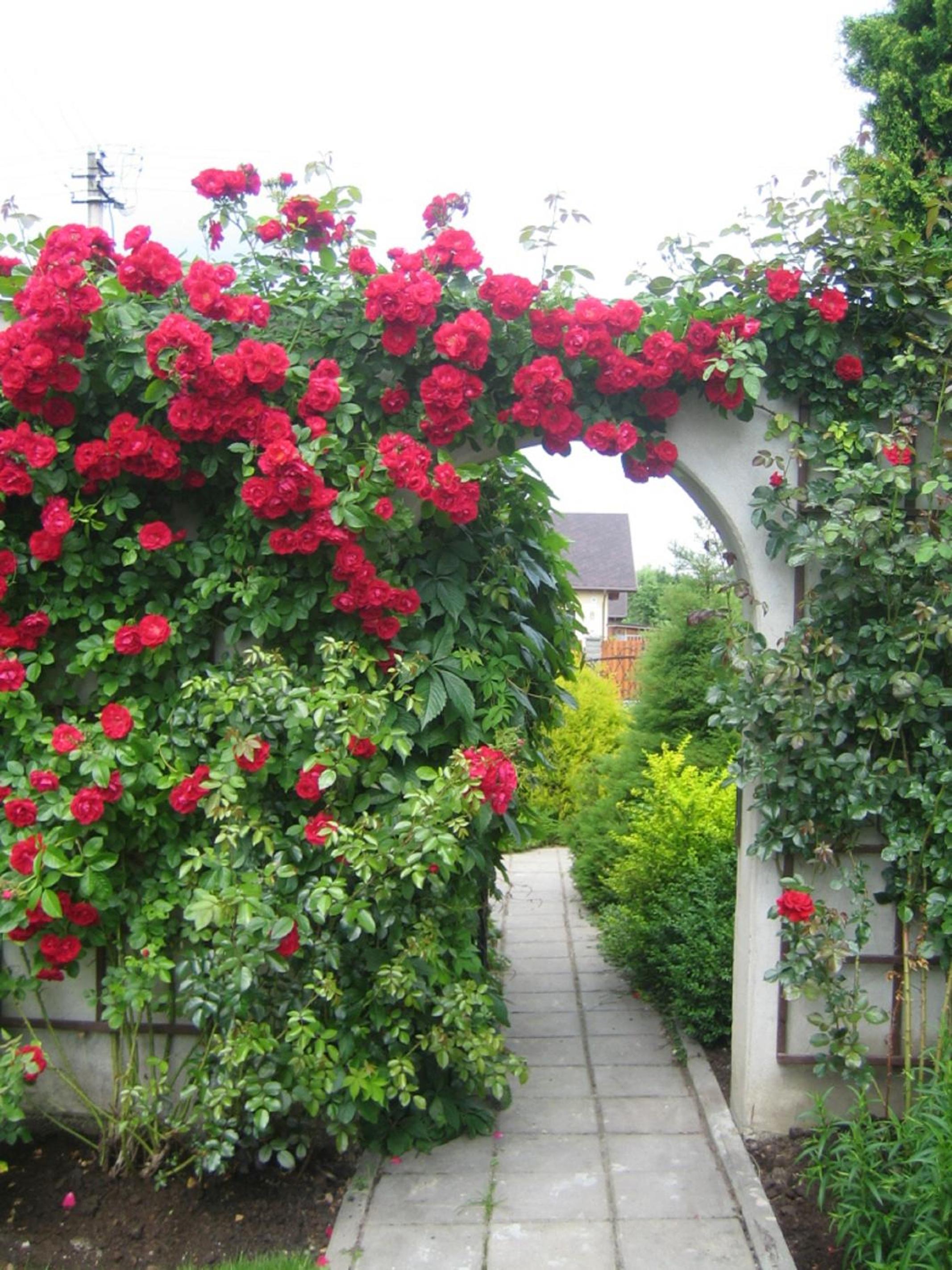 Photo 52