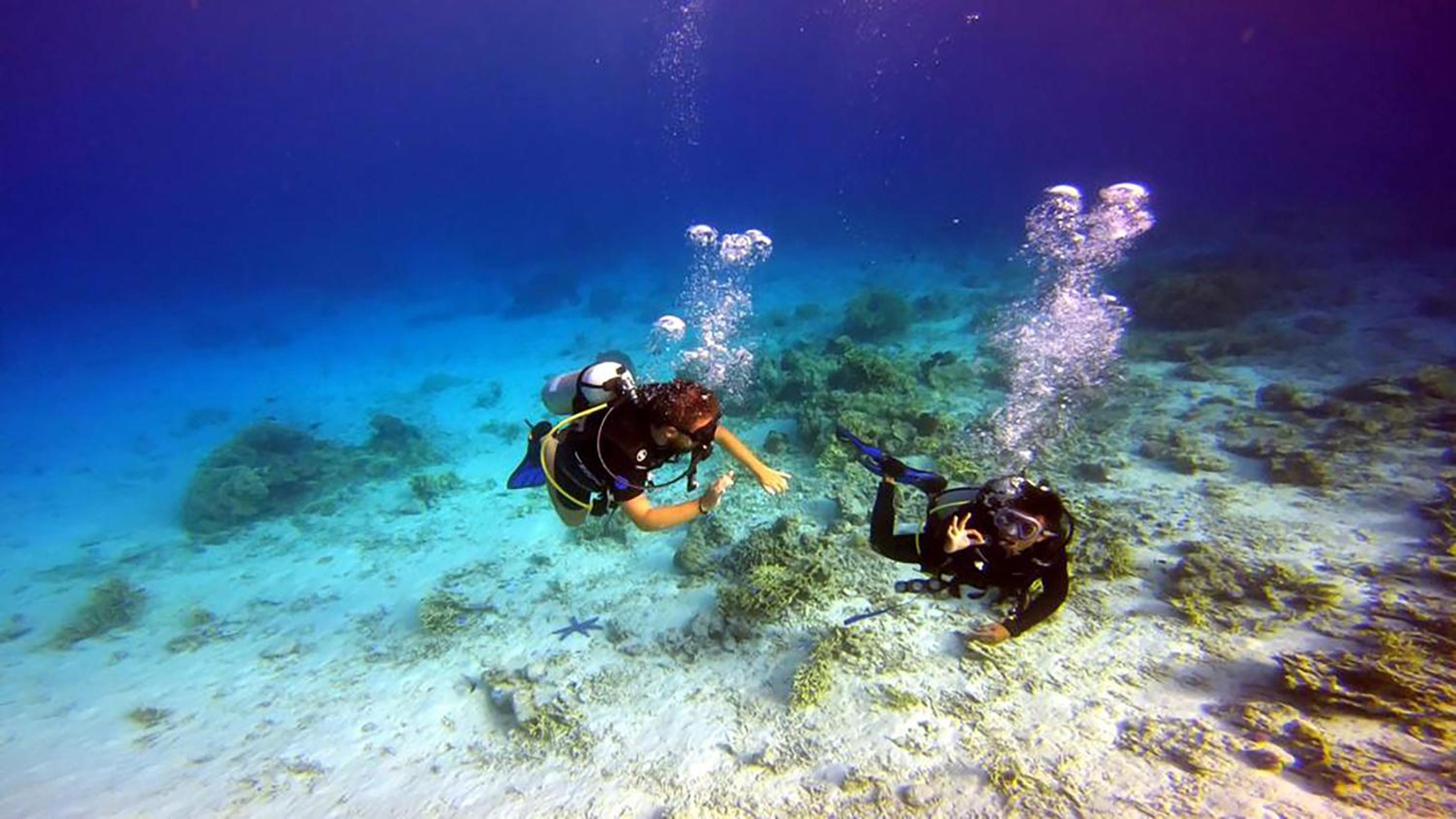 Maleo Moyo Hotel & Dive Resort view 3