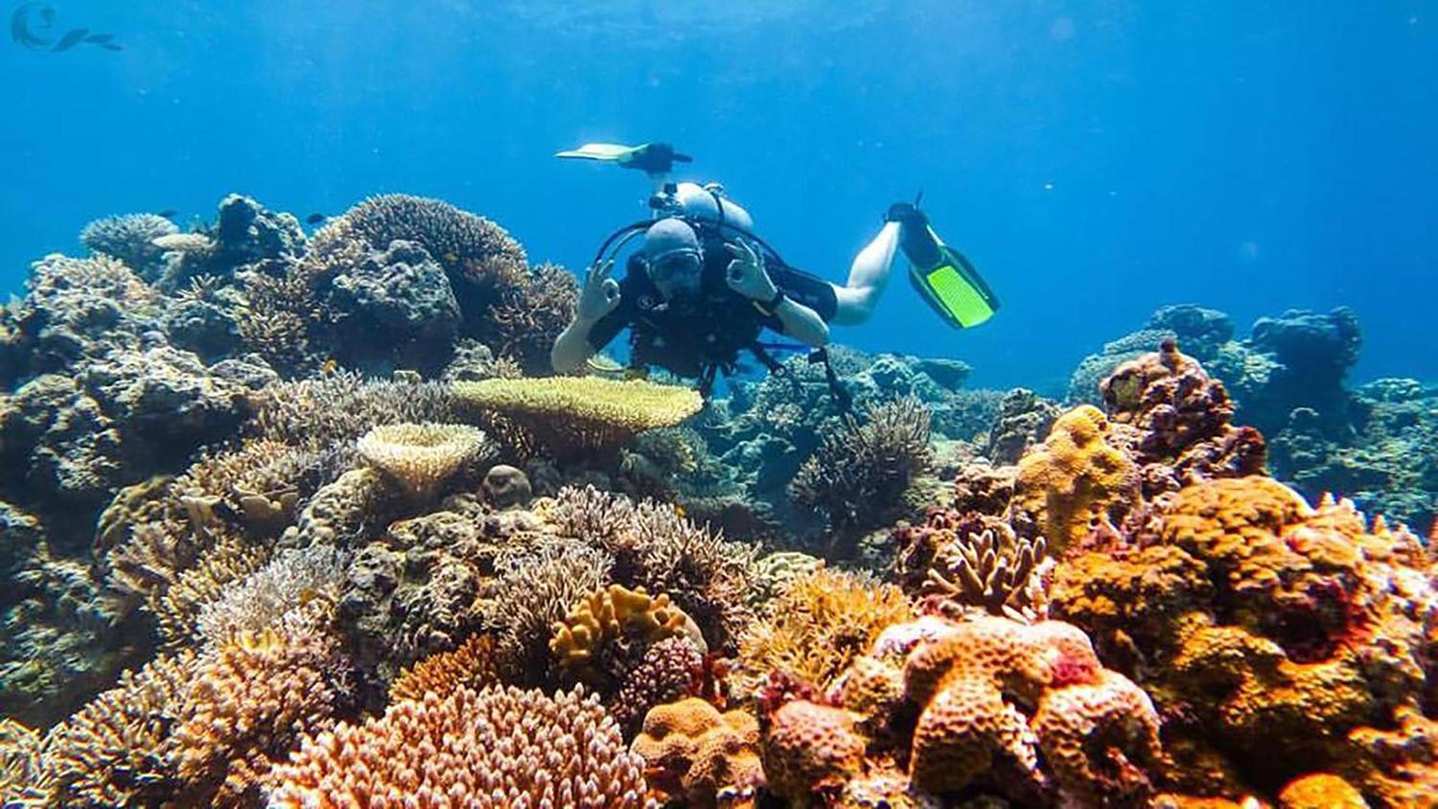 Maleo Moyo Hotel & Dive Resort view 4