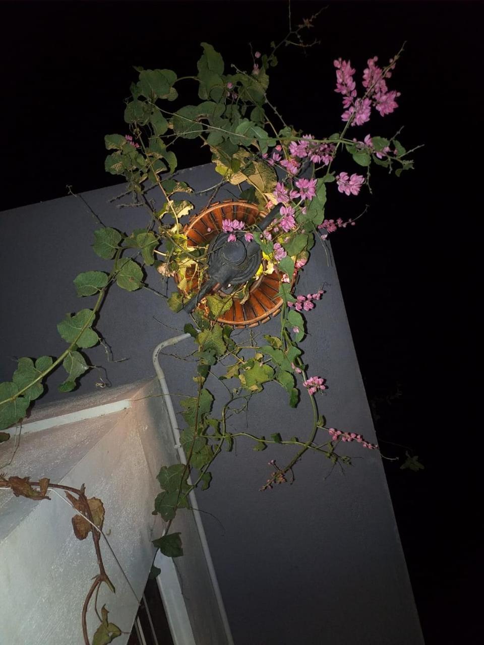Photo 25