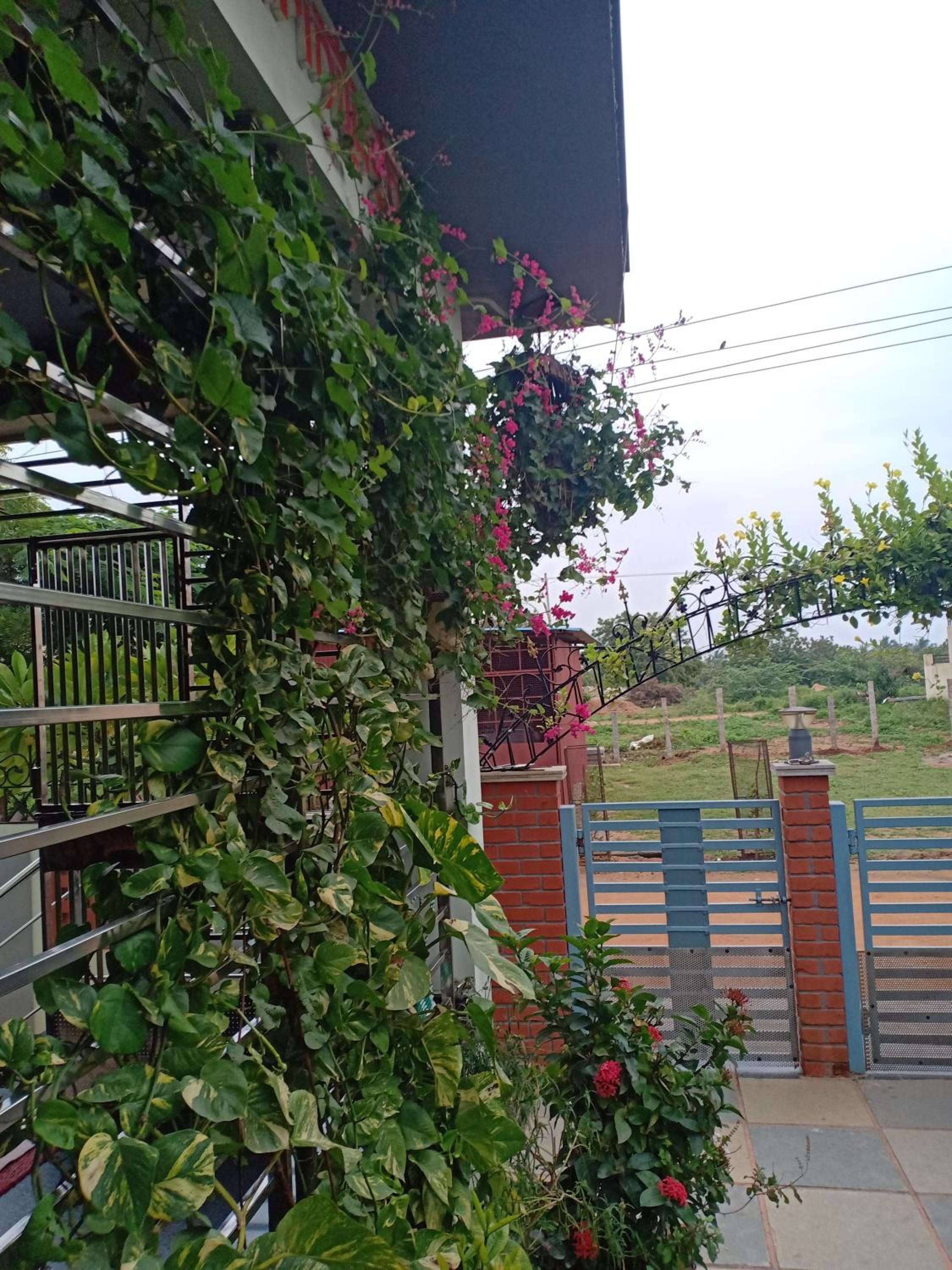Photo 22