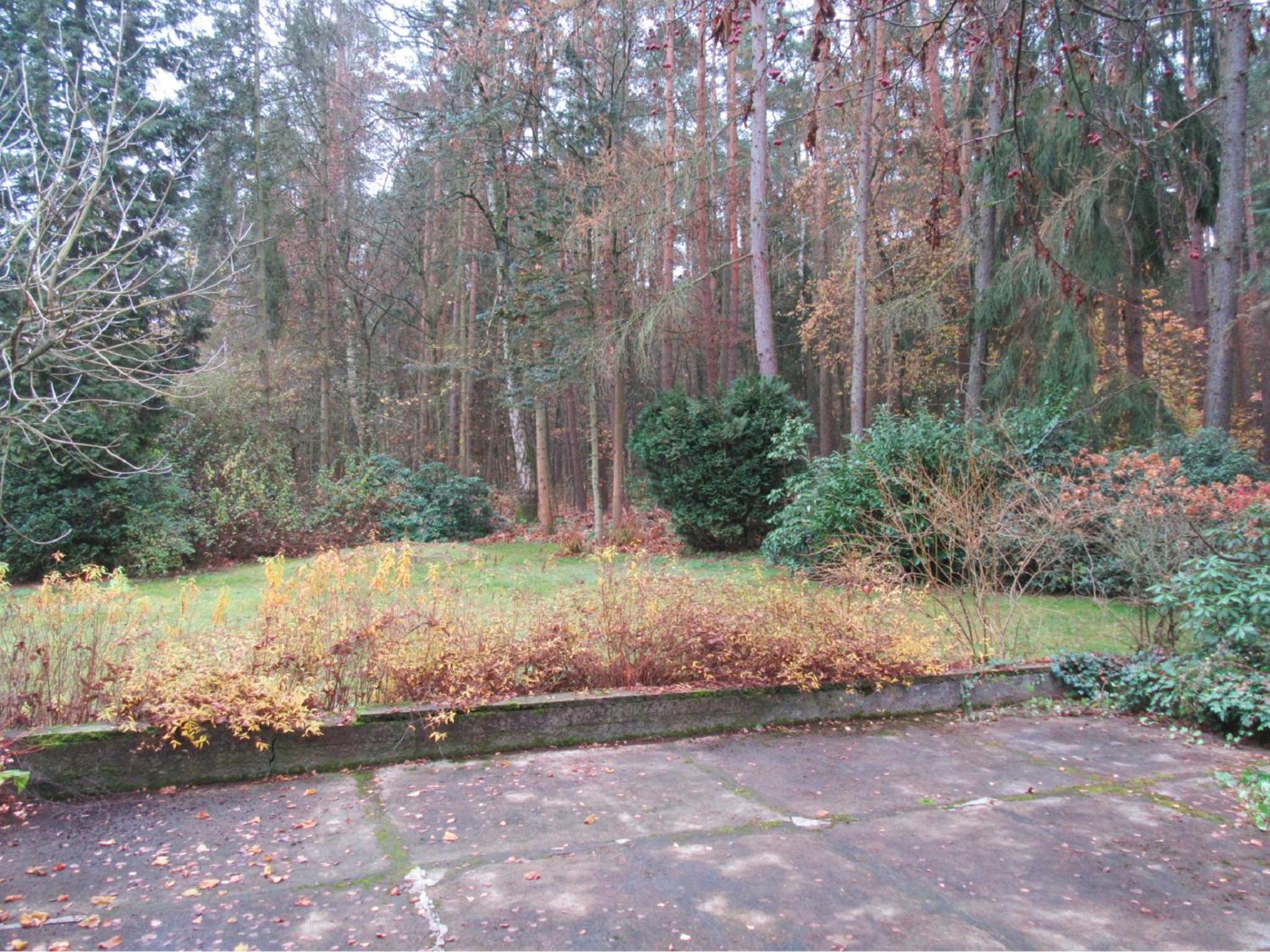 Photo 29