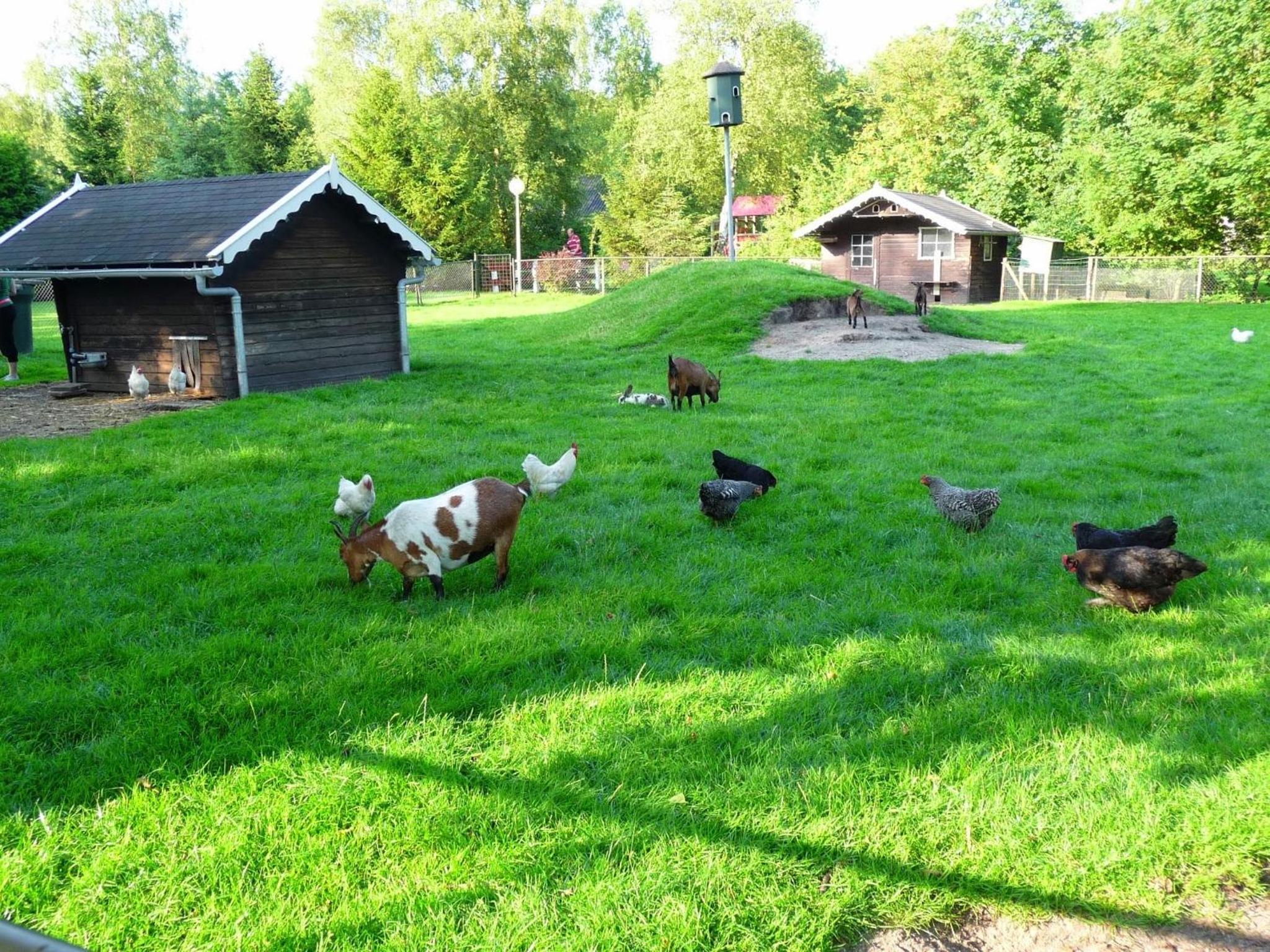 Vakantiepark Bosmeer Friesland