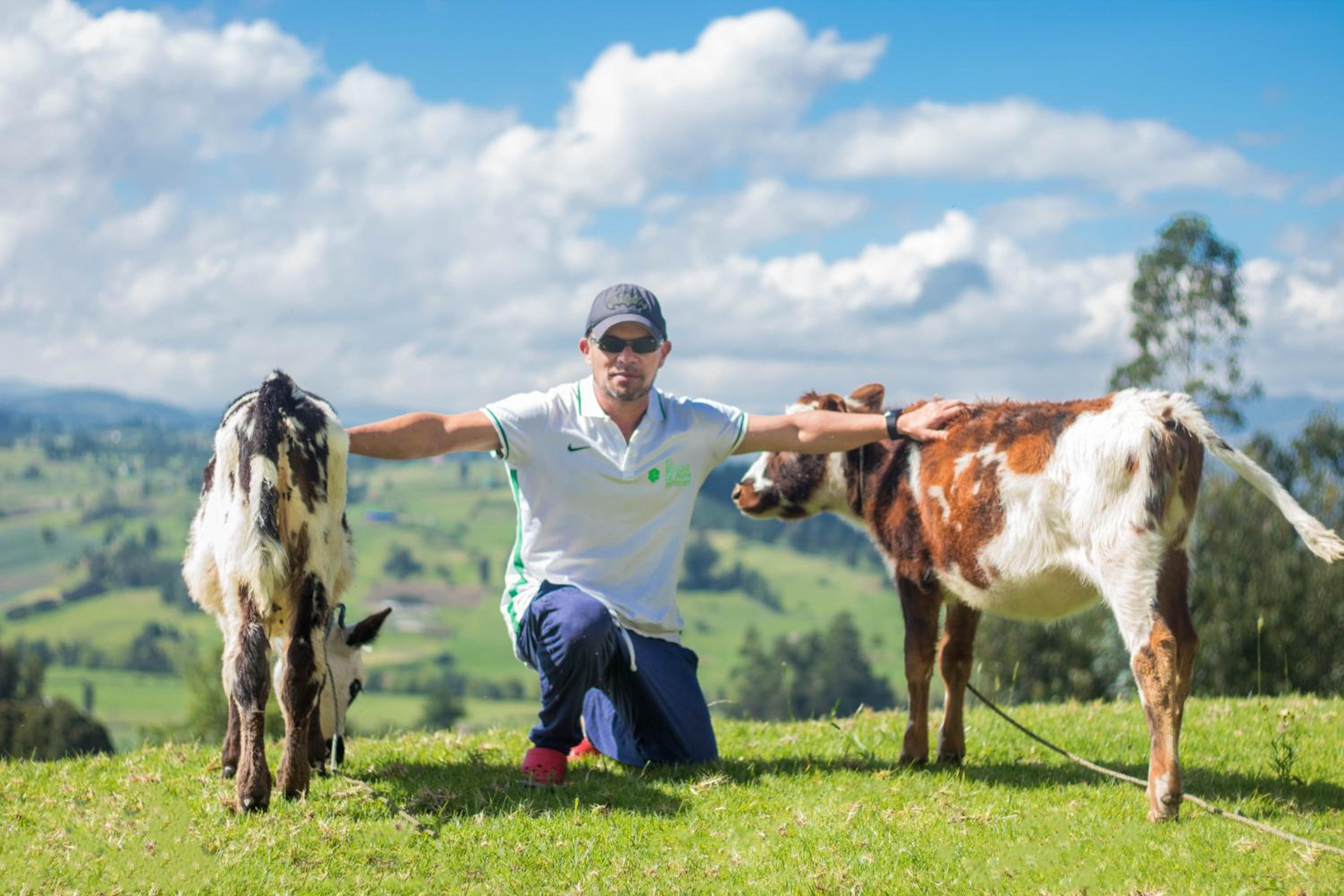 Photo 51