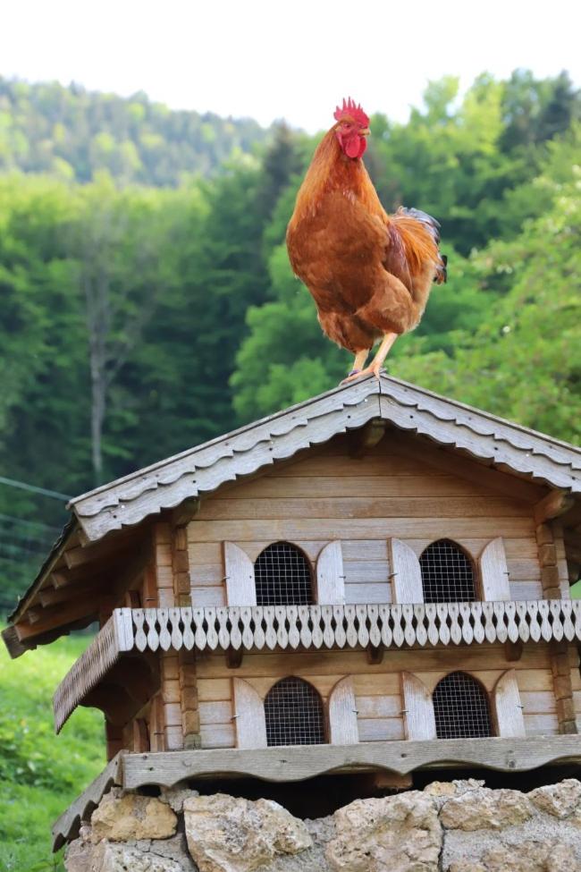 Schleipfnerhof Urlaub auf dem Bauernhof