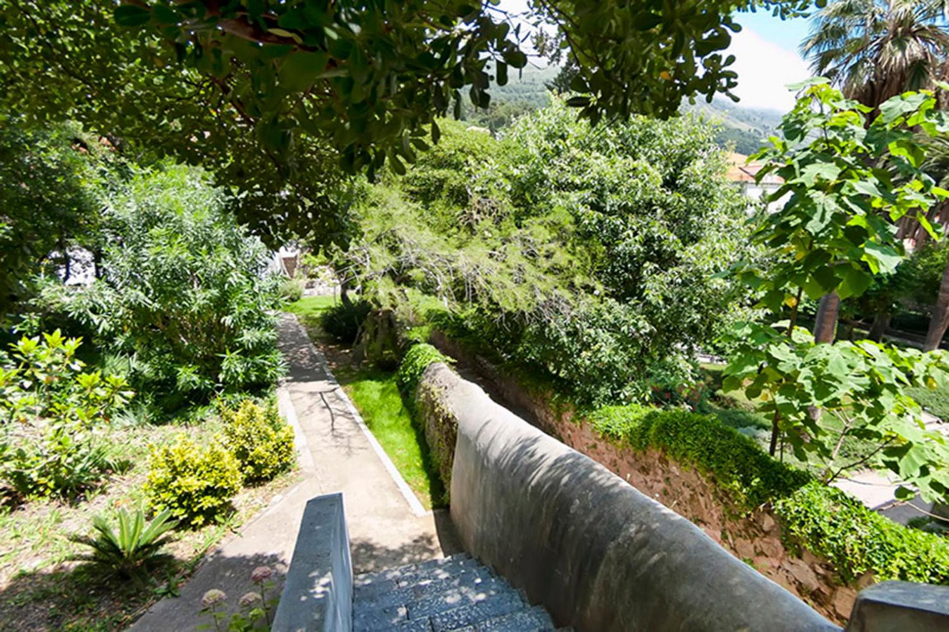 Apartment Gradac with garden next to beach and Old Town
