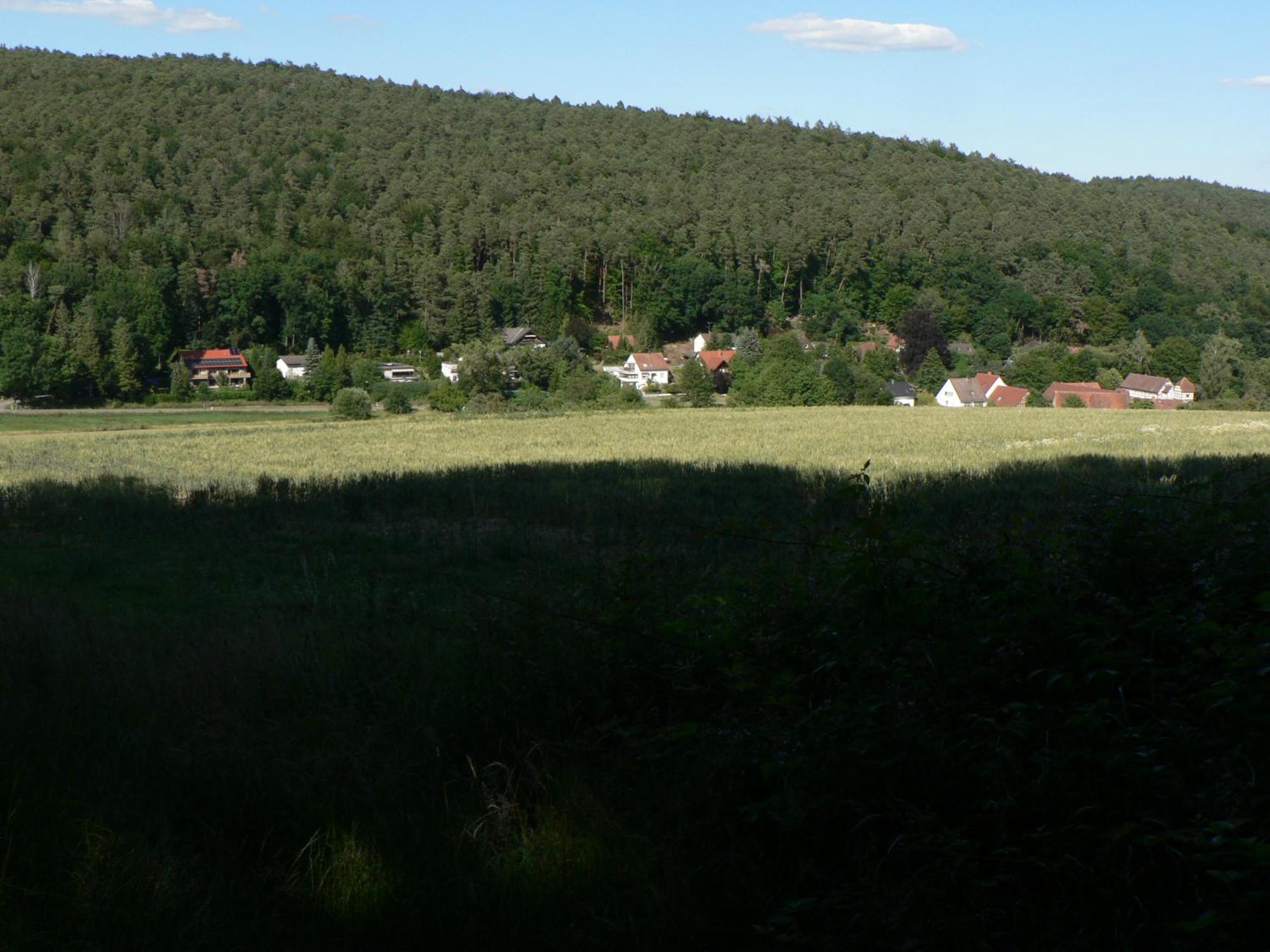 Photo 18