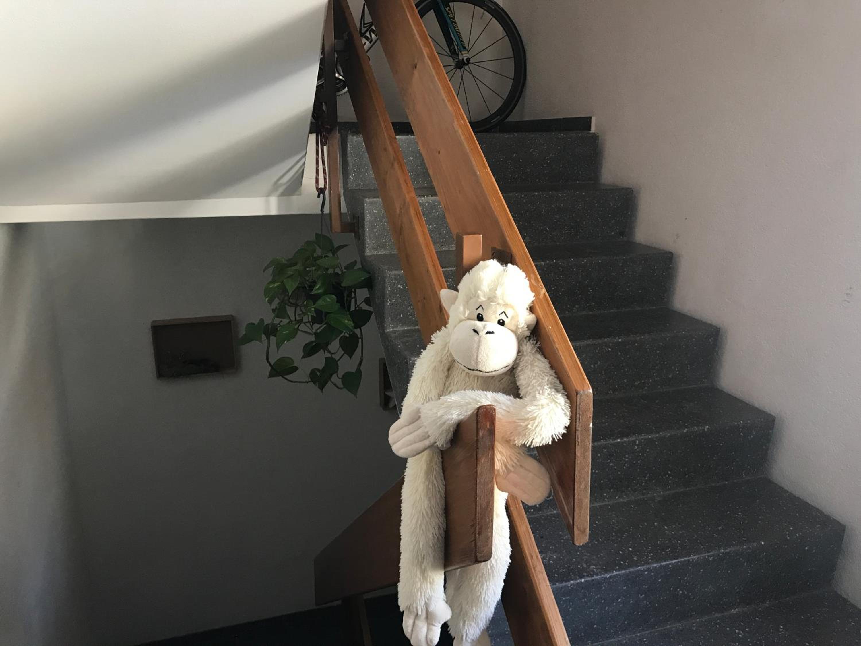 Photo 18