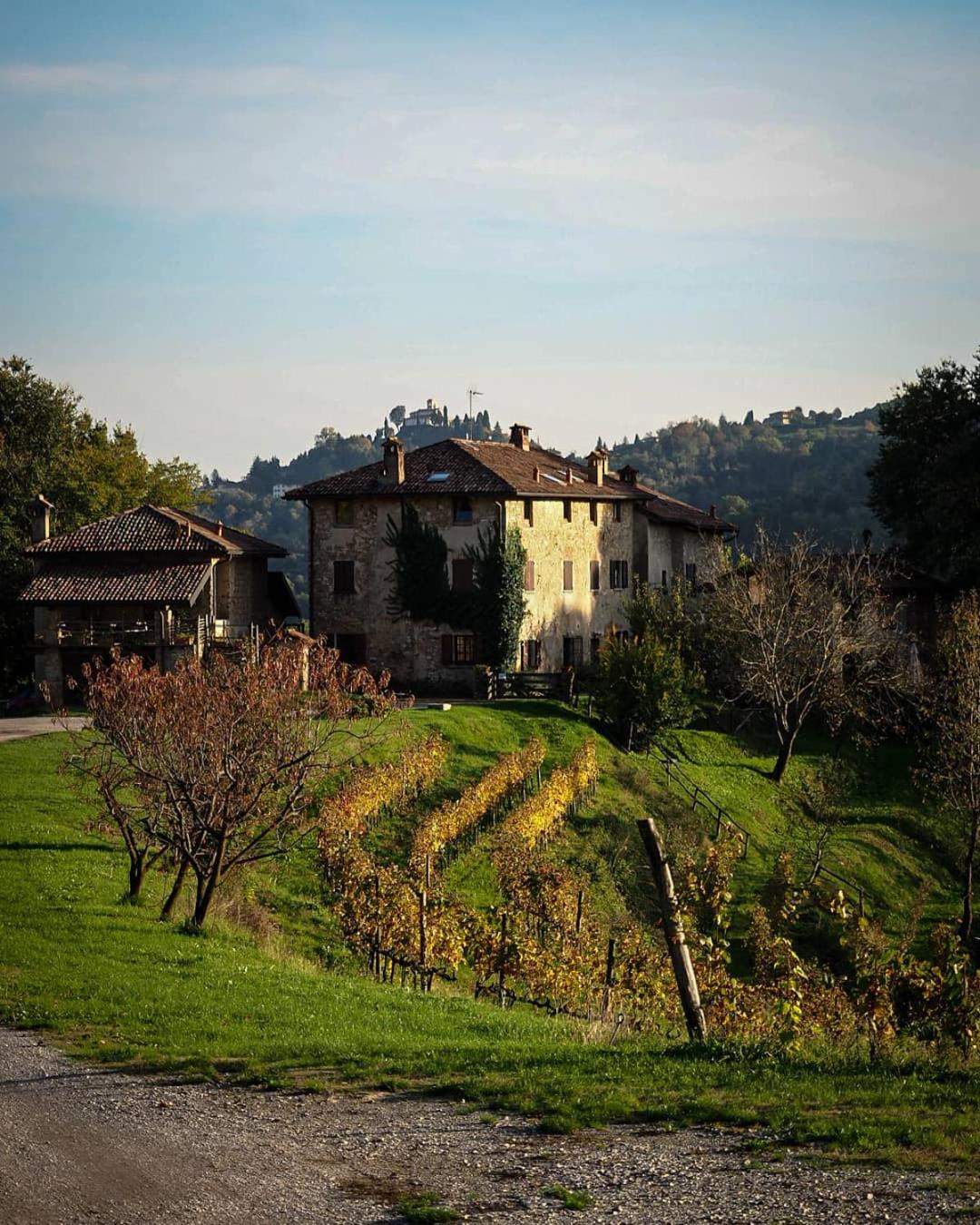 Agriturismo La Costa - Cascina Costa view 4