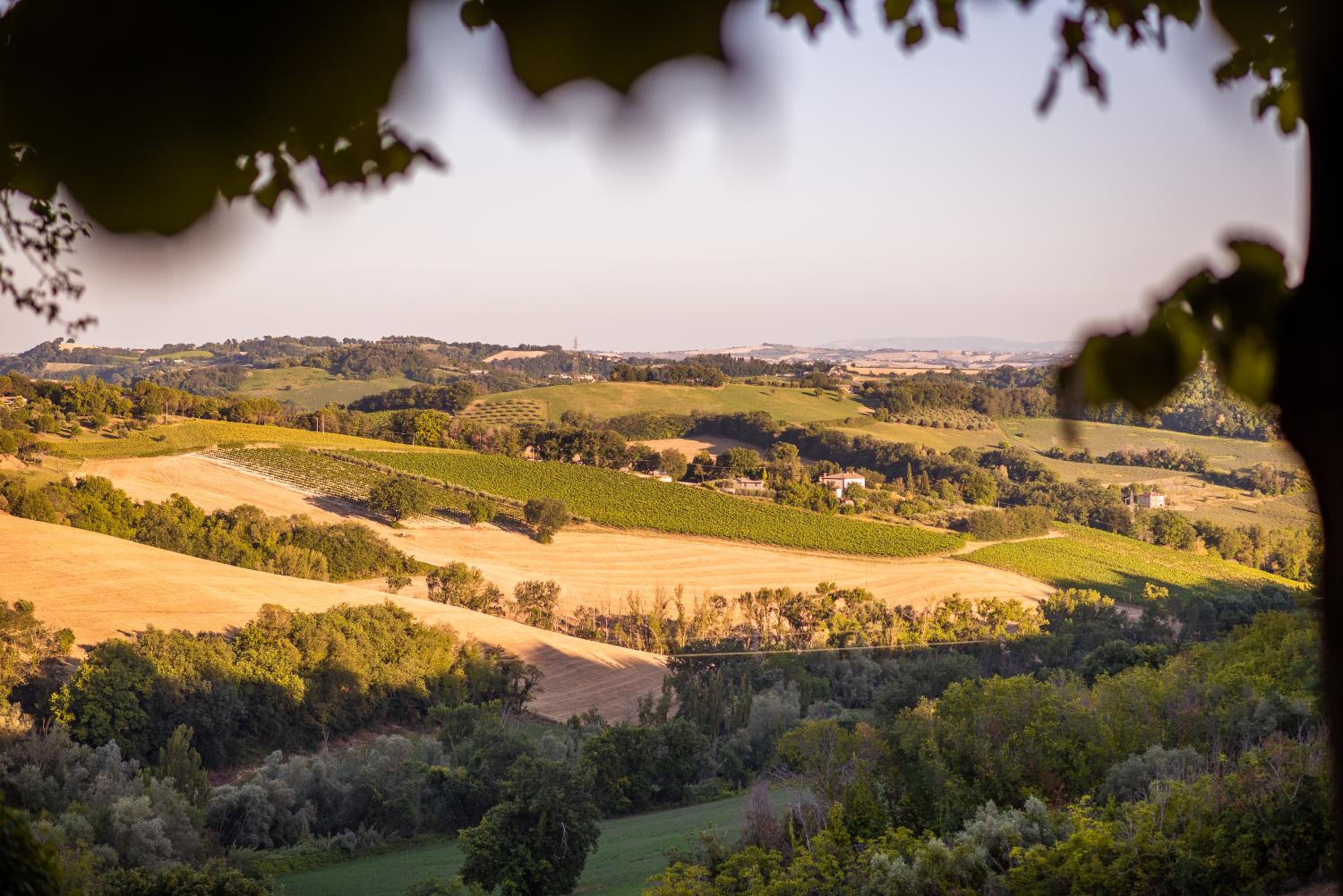 Residenza La Canonica Relais - Historic Country House & Pool