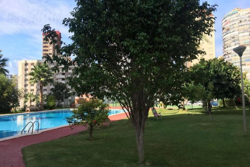 Apartamento Alteanos, centrico y confortable, soleado, con piscina y jardines, tenis, parking exterior comunitario, y la playa andando 10 min photo 2