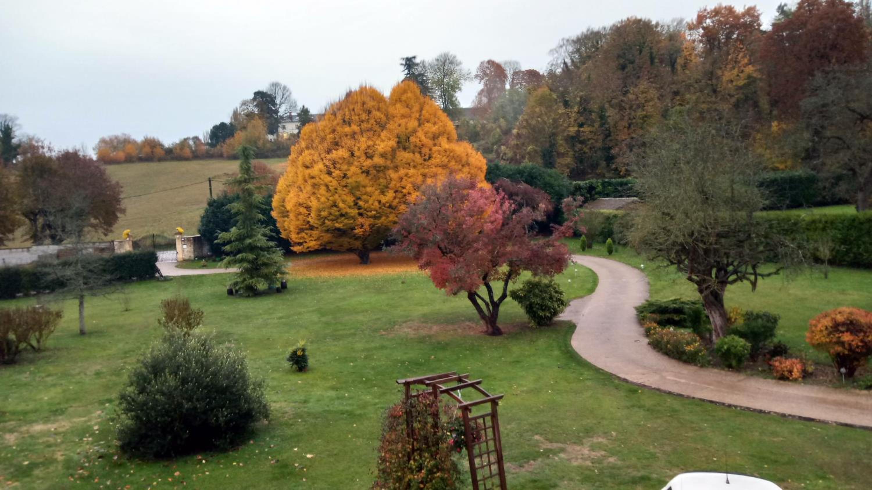 Le Relais De Dalibray, photo 32