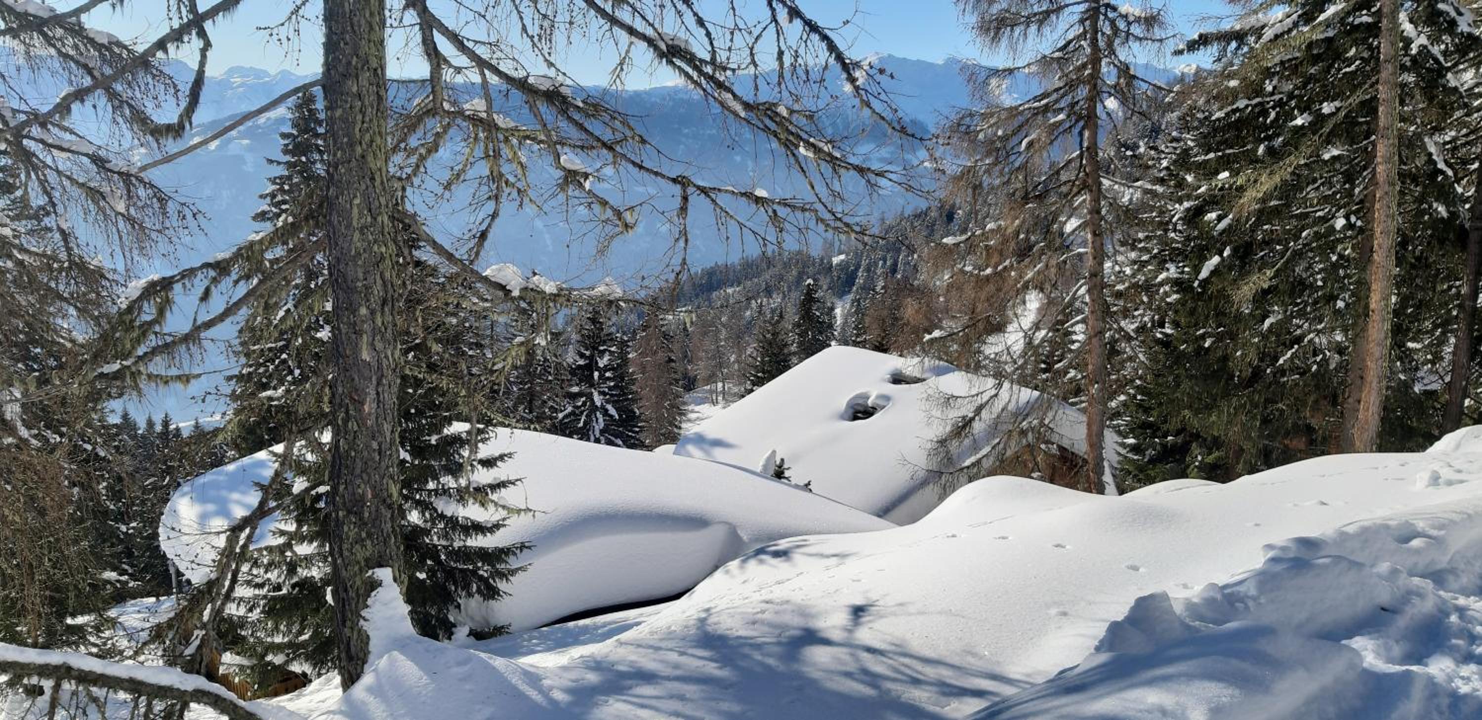 Rackhof view 5