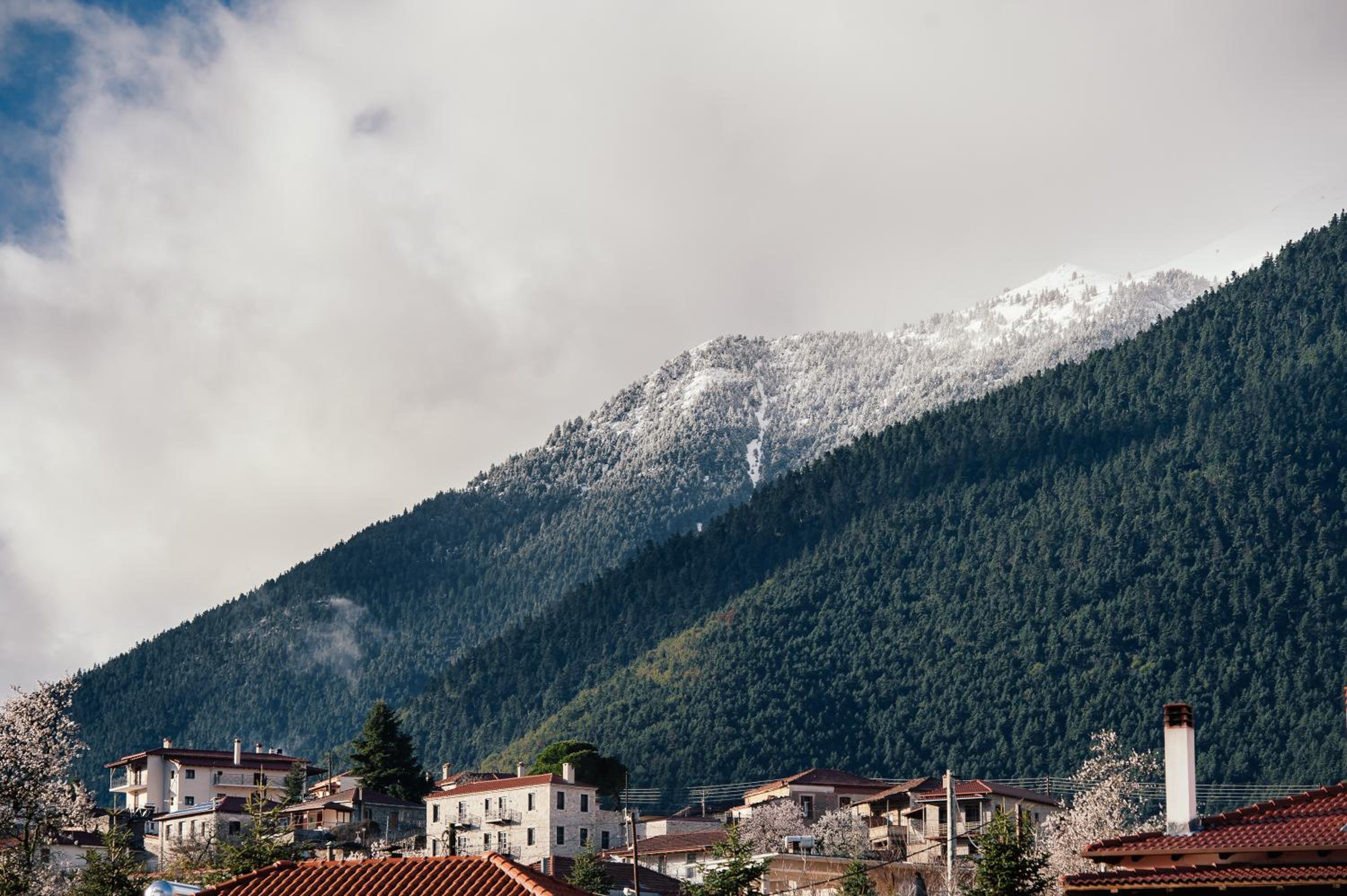 Levidi Suites, Photo 56