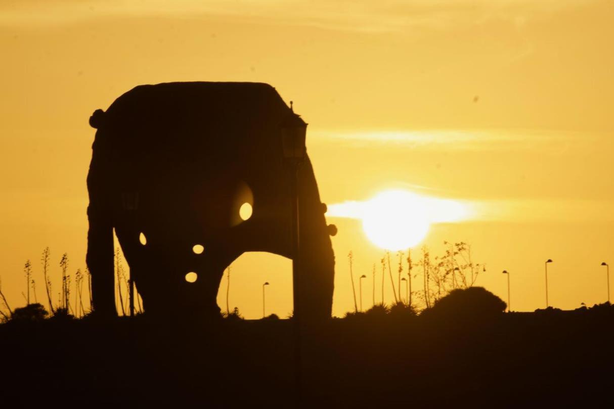 The Volcano's Land, Perfect for relaxing Getaway photo 4