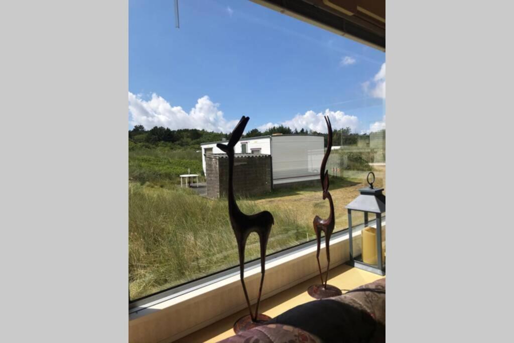 Knusse caravan camping Duinoord 300m van strand