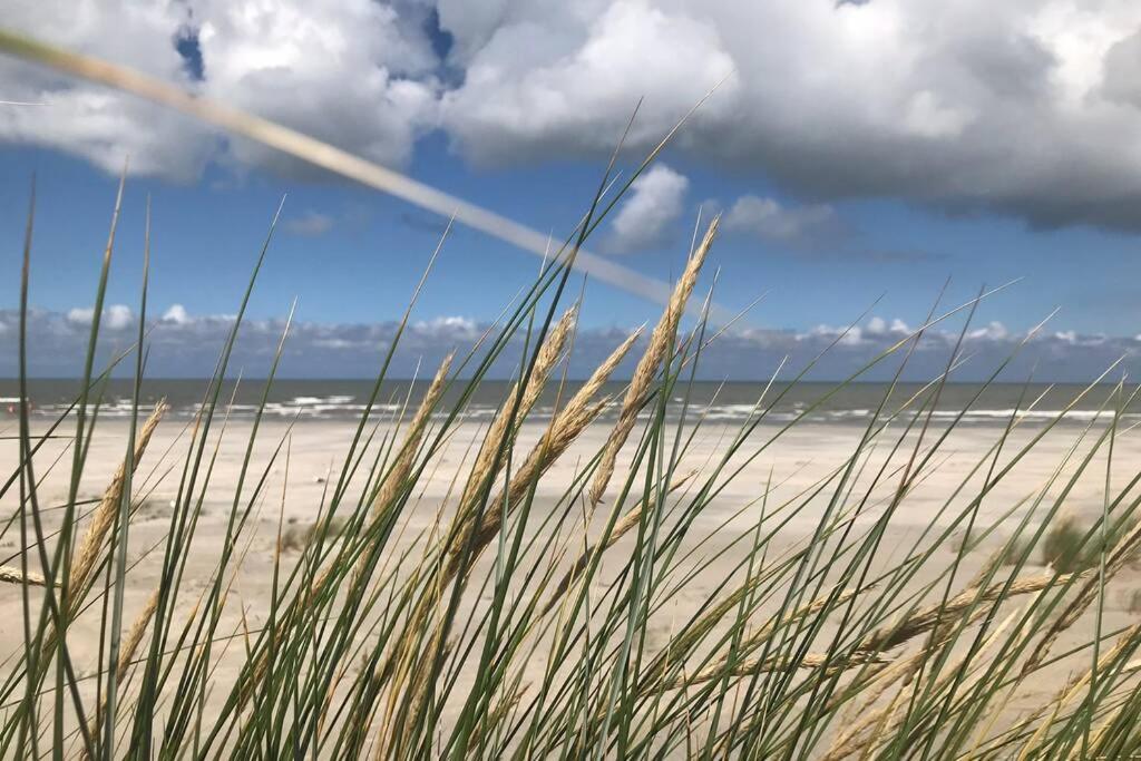 Knusse caravan camping Duinoord 300m van strand