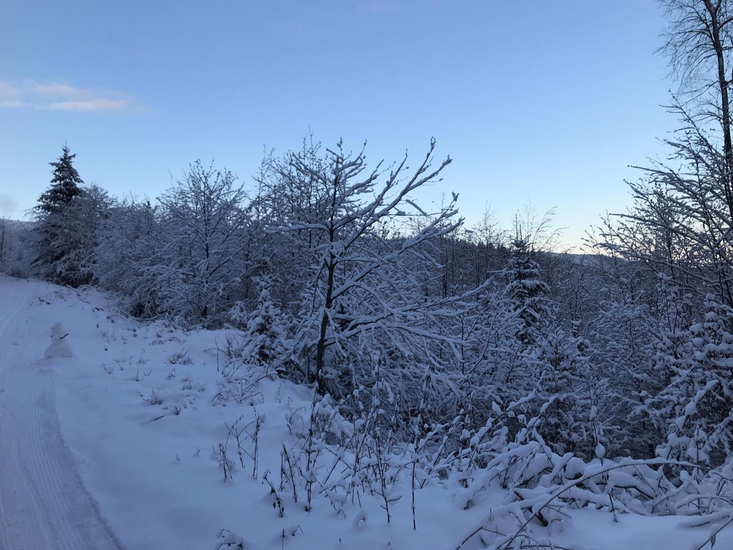 Apartmán Škrovanová