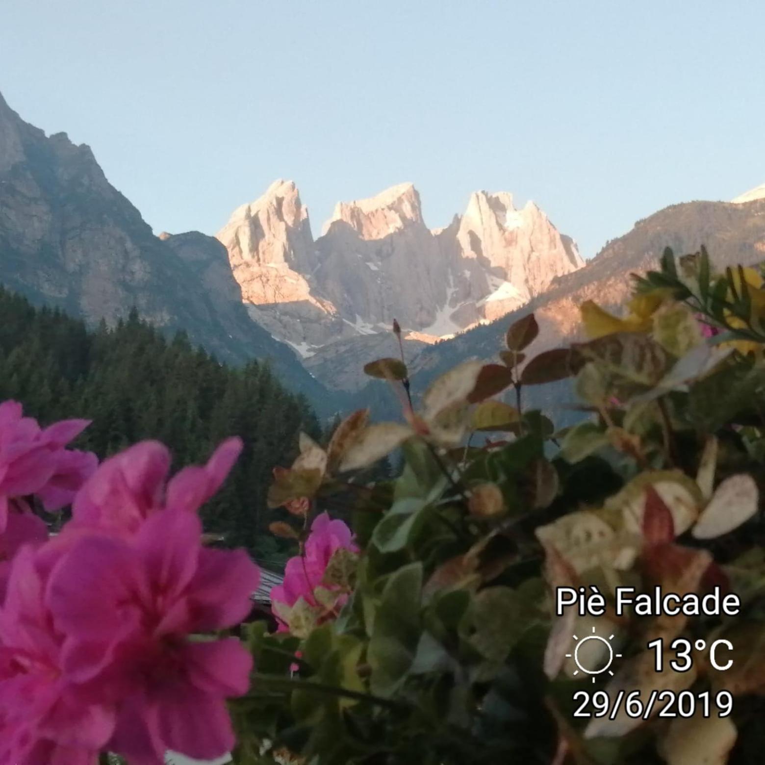 Photo 39