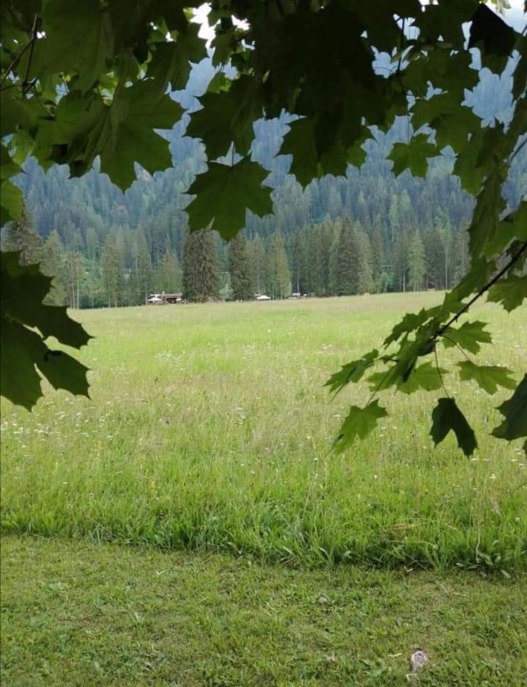 Photo 38