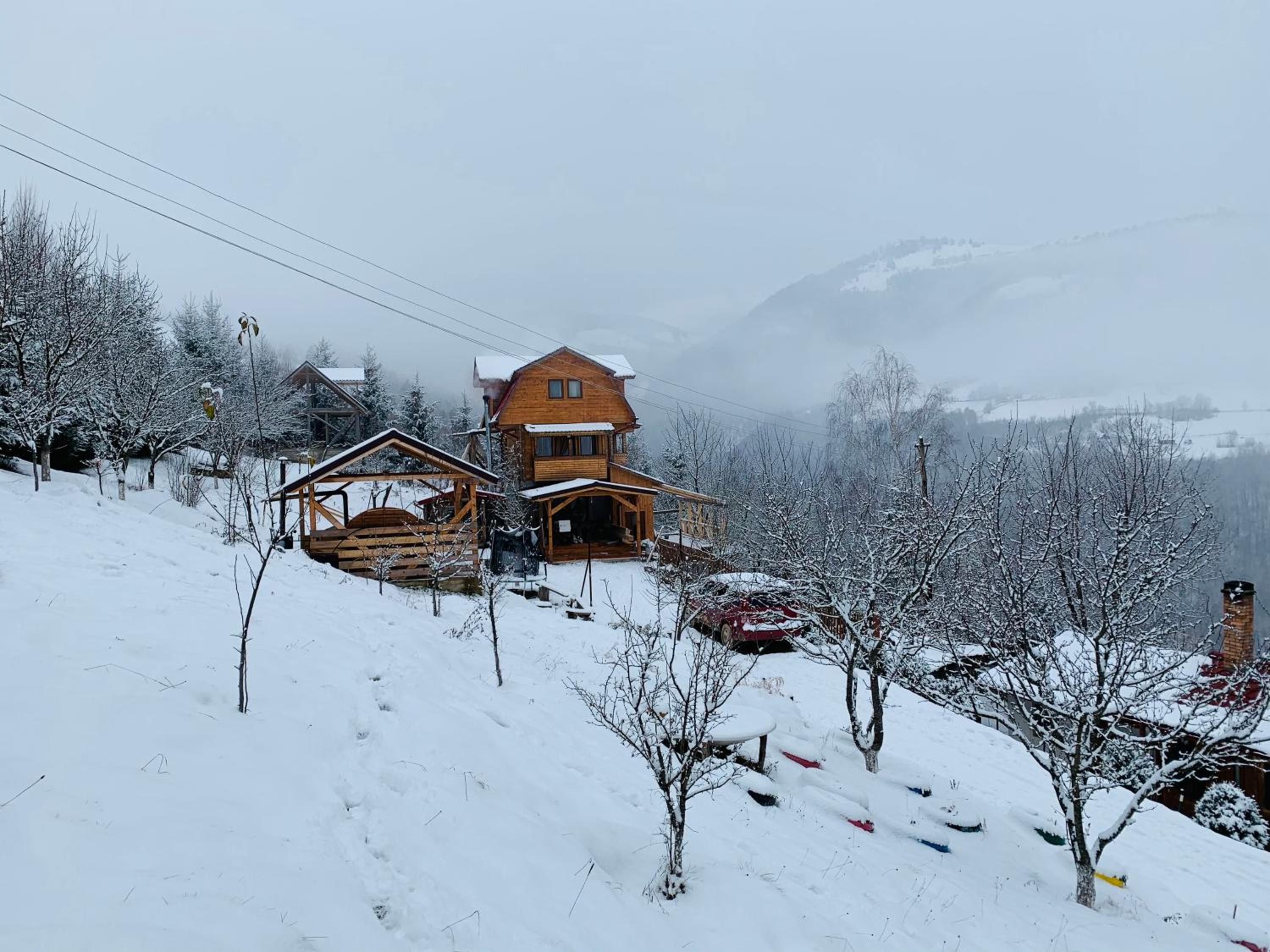 Cabana Muntele Paltinei view 4