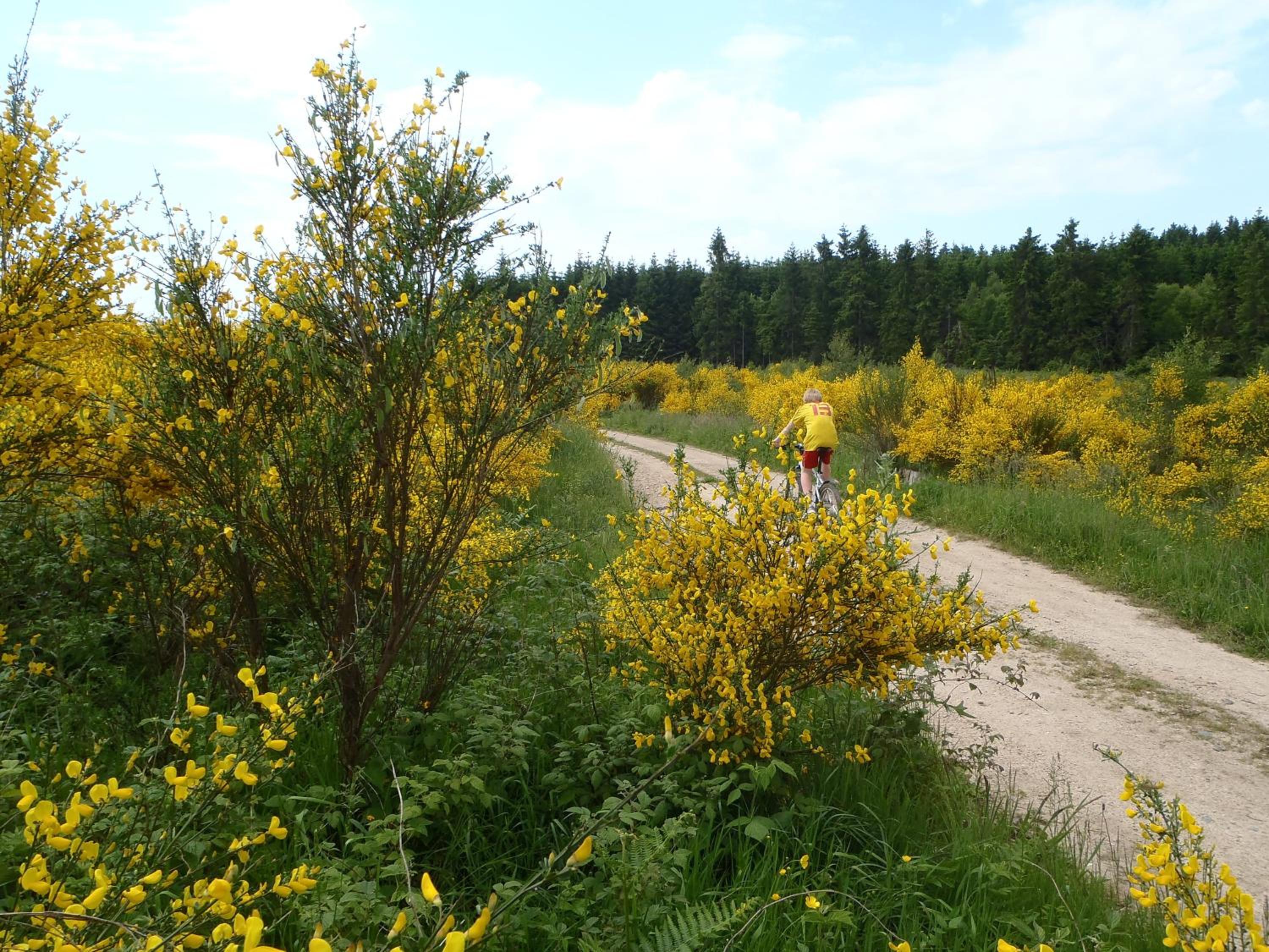 Gites-Clairiere-Ardenne