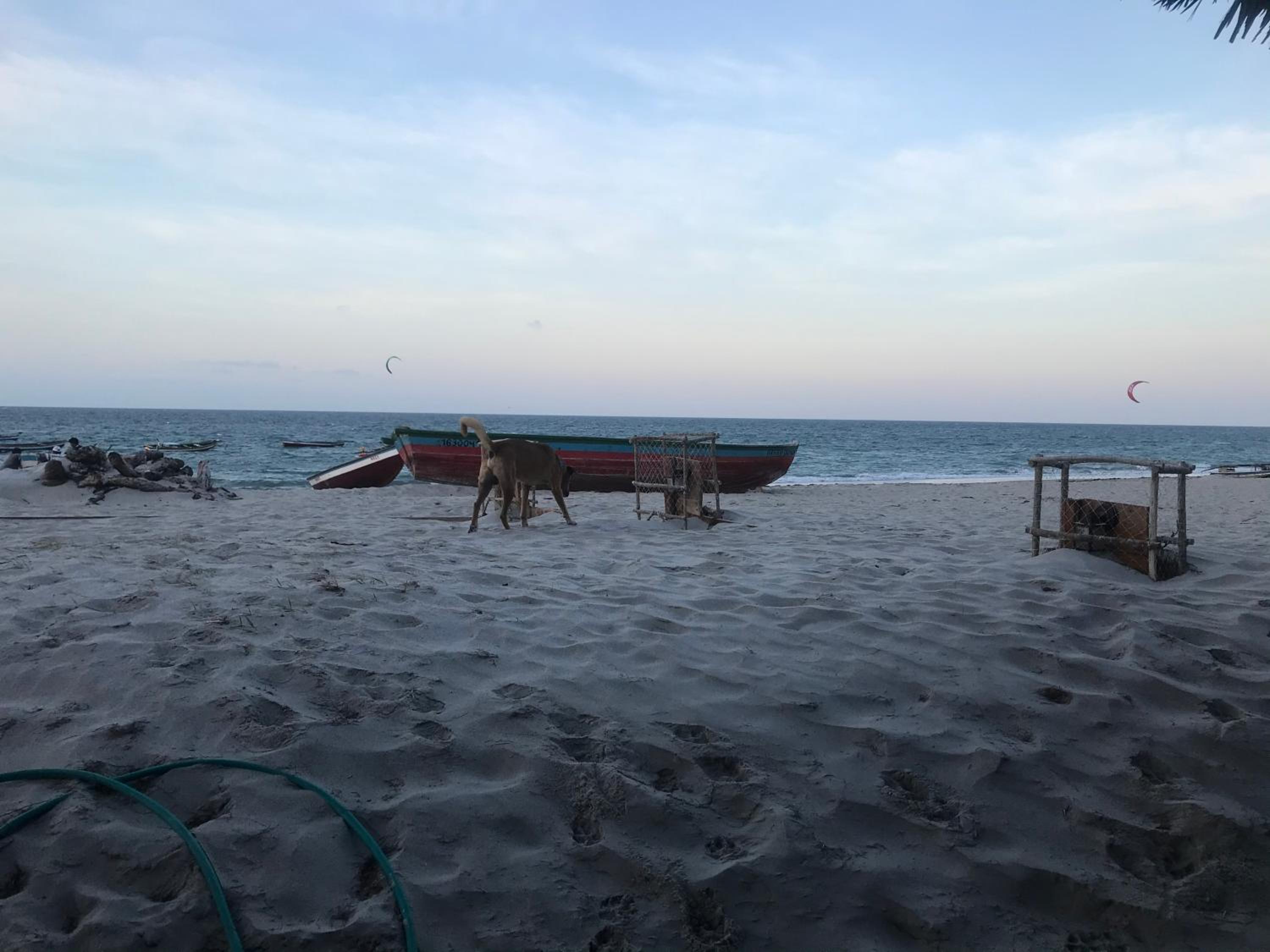 La Vista Kite Preá