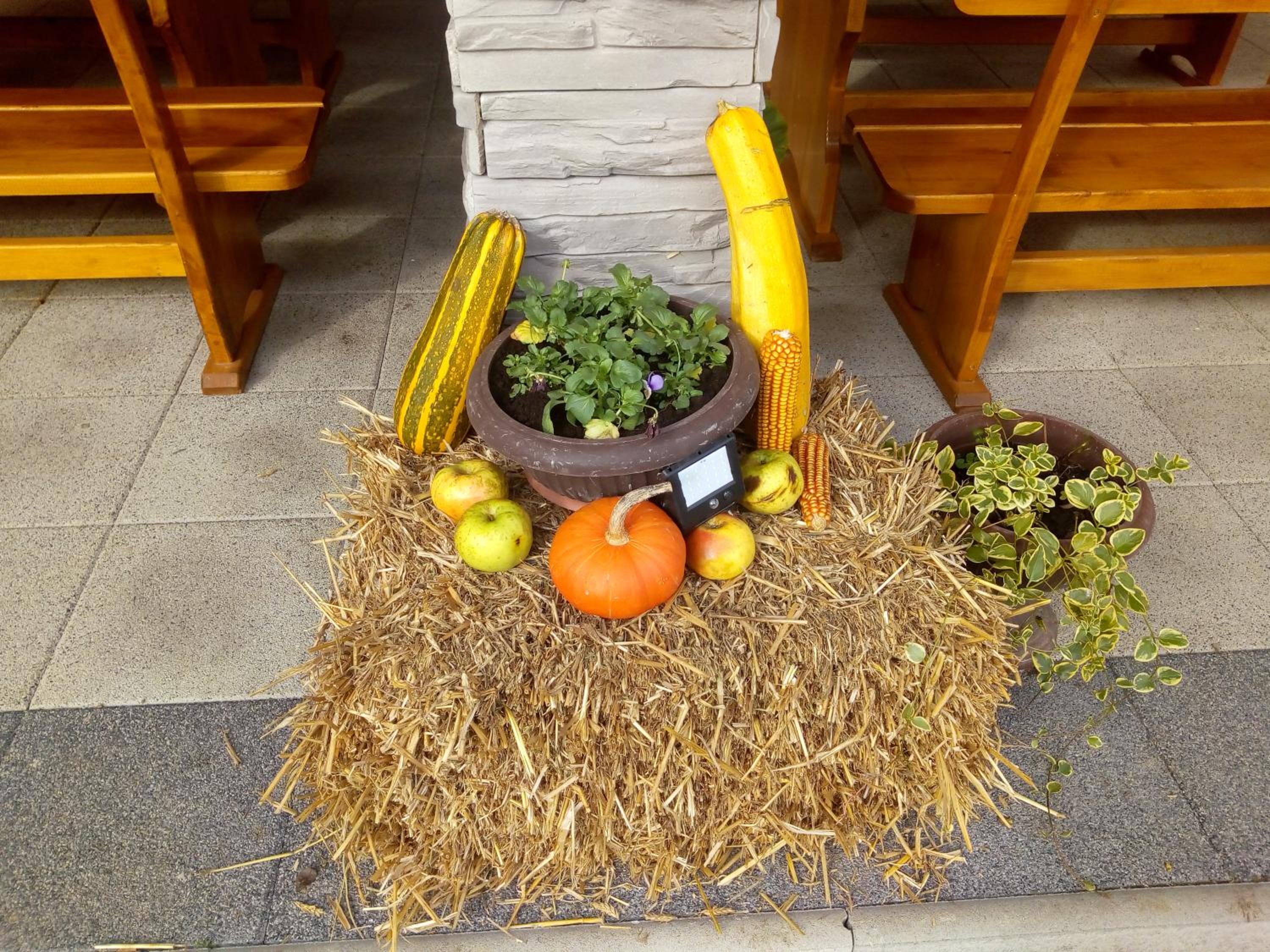 Photo 37
