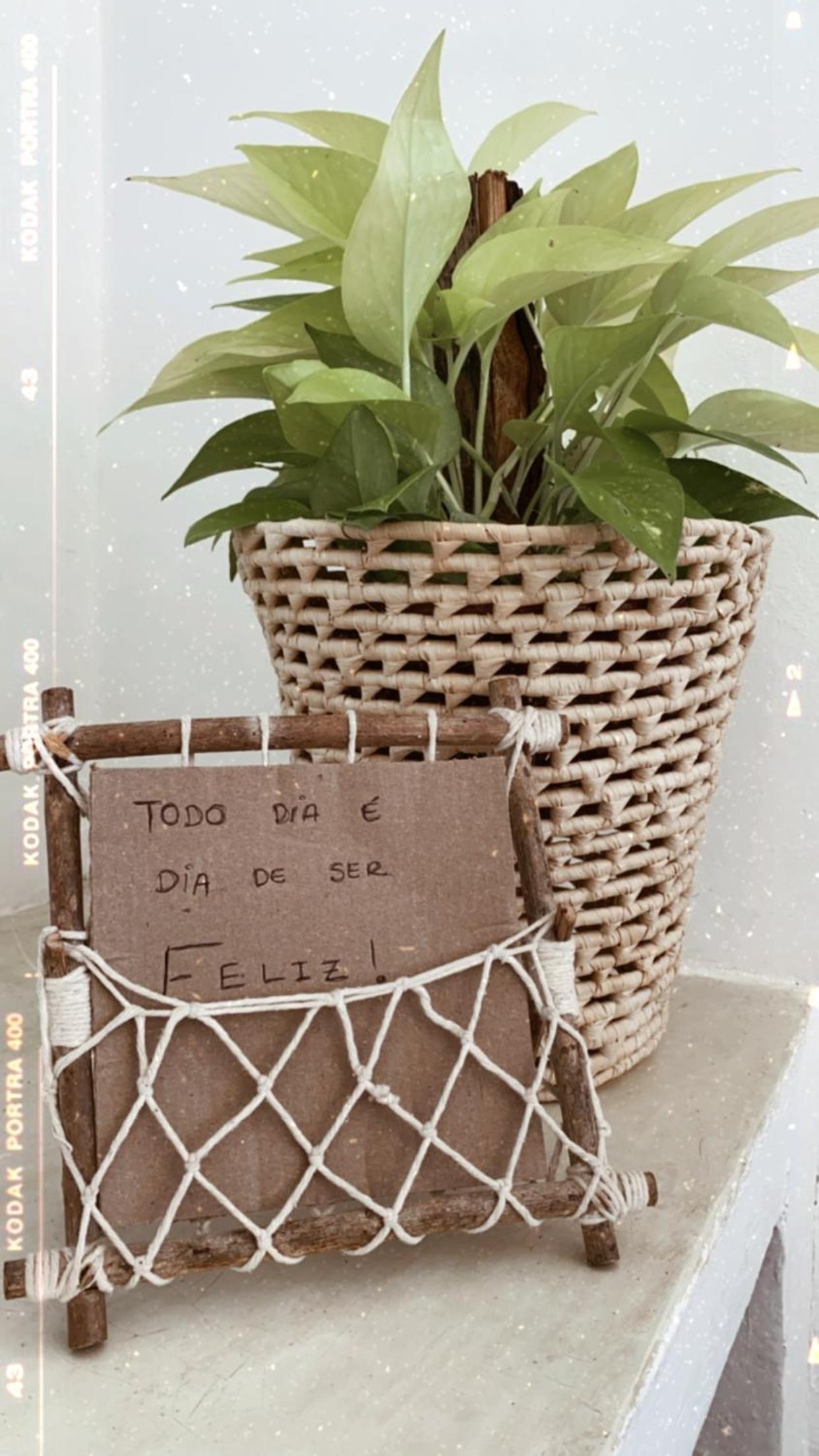 Casa Free Wind Jeri