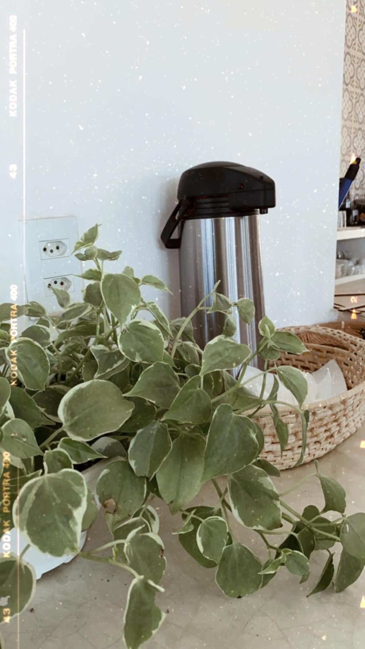Casa Free Wind Jeri